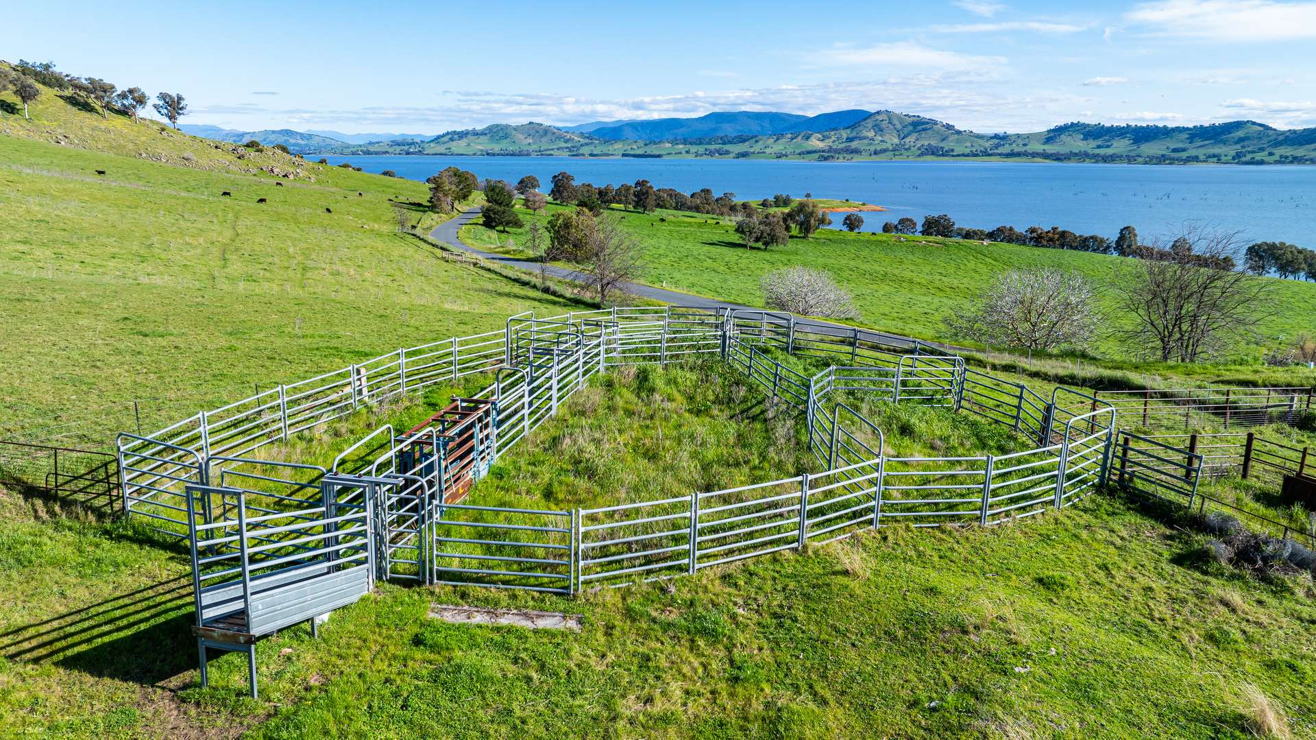 1080 Lake Road, Bethanga For Sale by Farmbuy.com - image 3