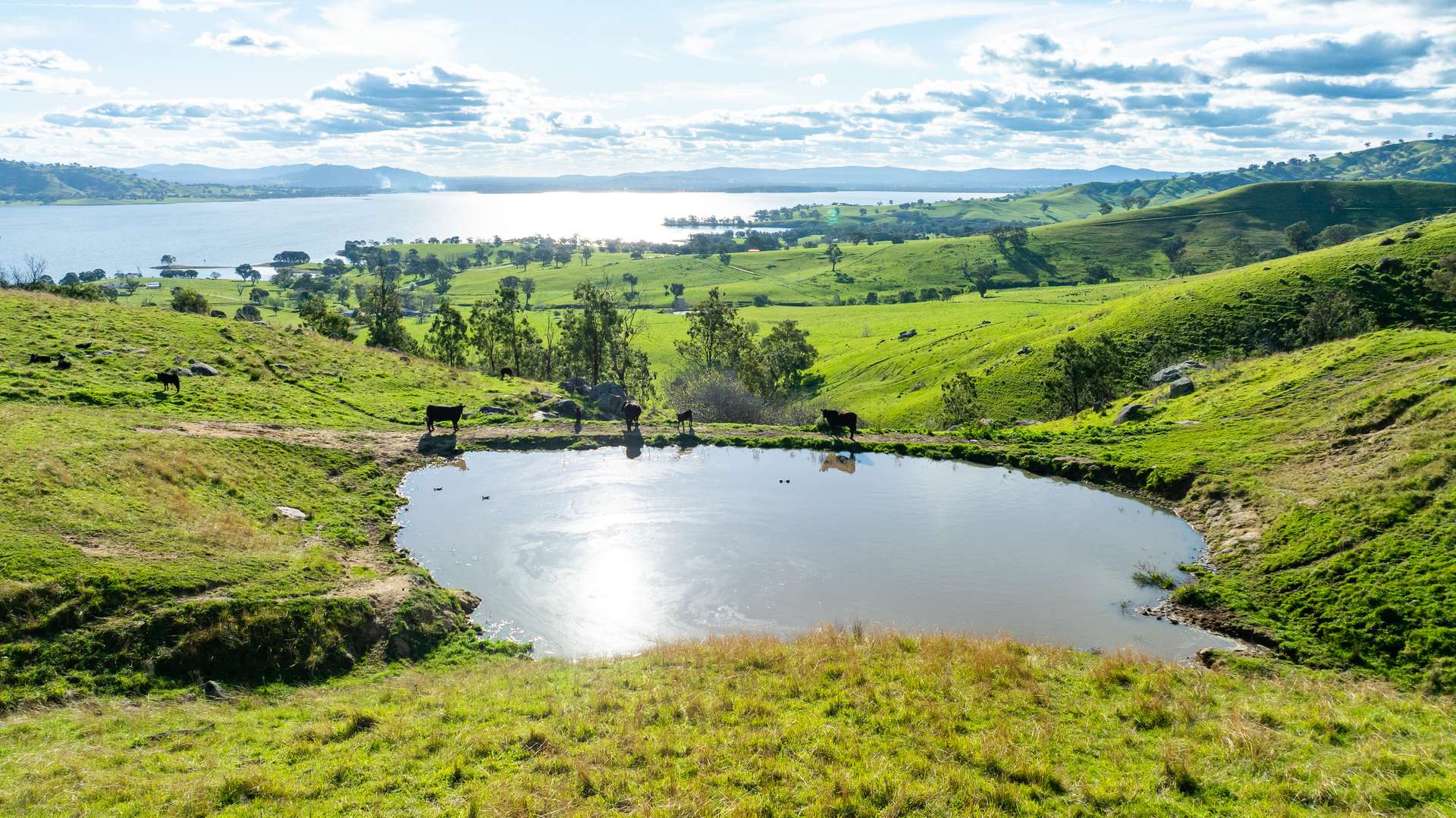 1080 Lake Road, Bethanga For Sale by Farmbuy.com - image 7