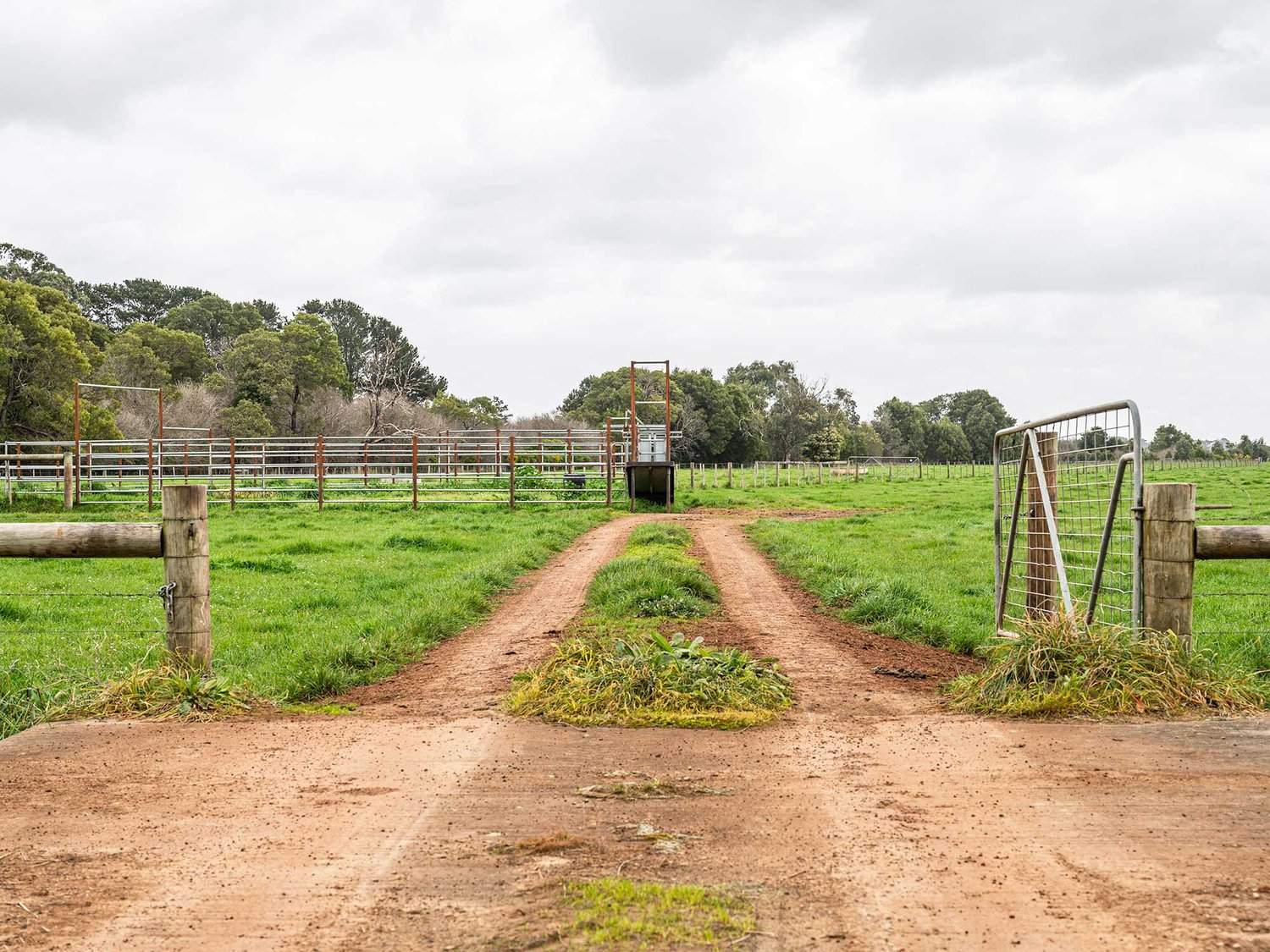 - Bond Street, Heywood Auction by Farmbuy.com - image 11