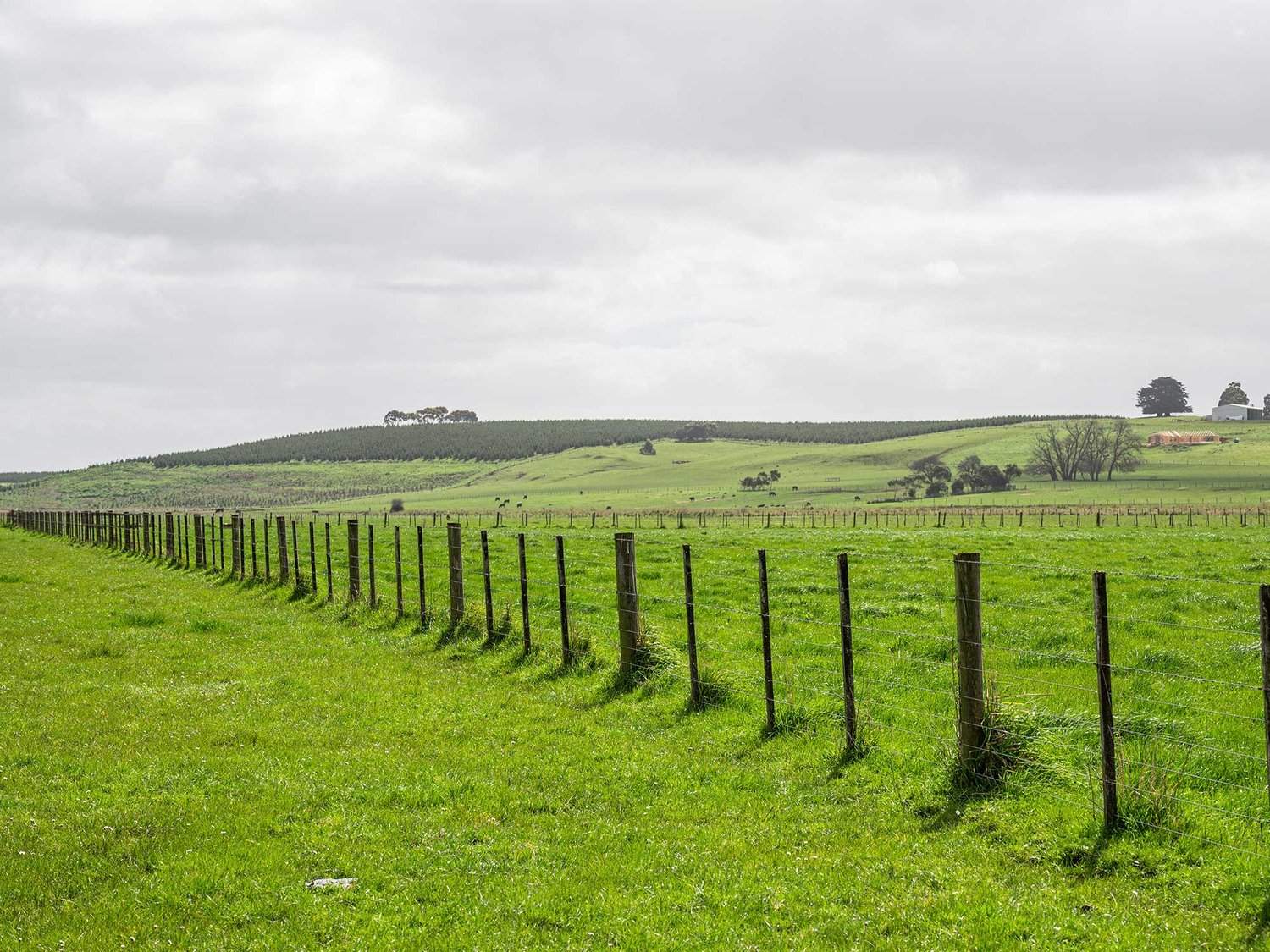 - Bond Street, Heywood Auction by Farmbuy.com - image 8