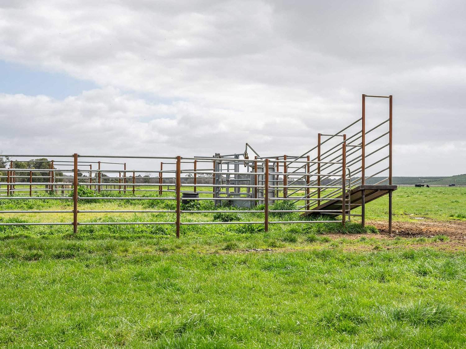 - Bond Street, Heywood Auction by Farmbuy.com - image 10