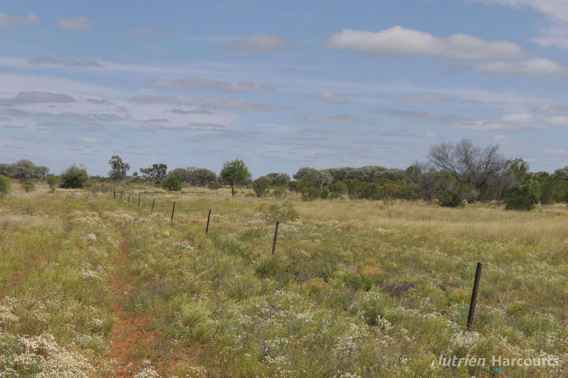 * Nantilla, Wanaaring For Sale by Farmbuy.com - image 7