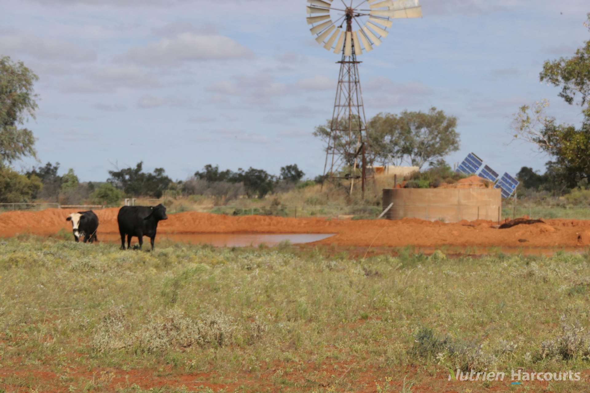 * Nantilla, Wanaaring For Sale by Farmbuy.com - image 2