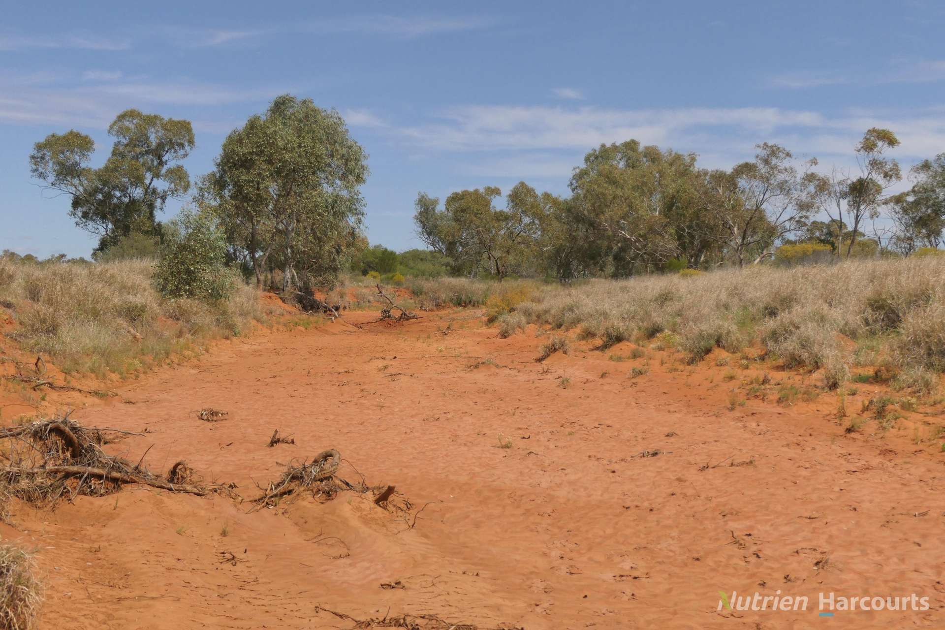 * Nantilla, Wanaaring For Sale by Farmbuy.com - image 9