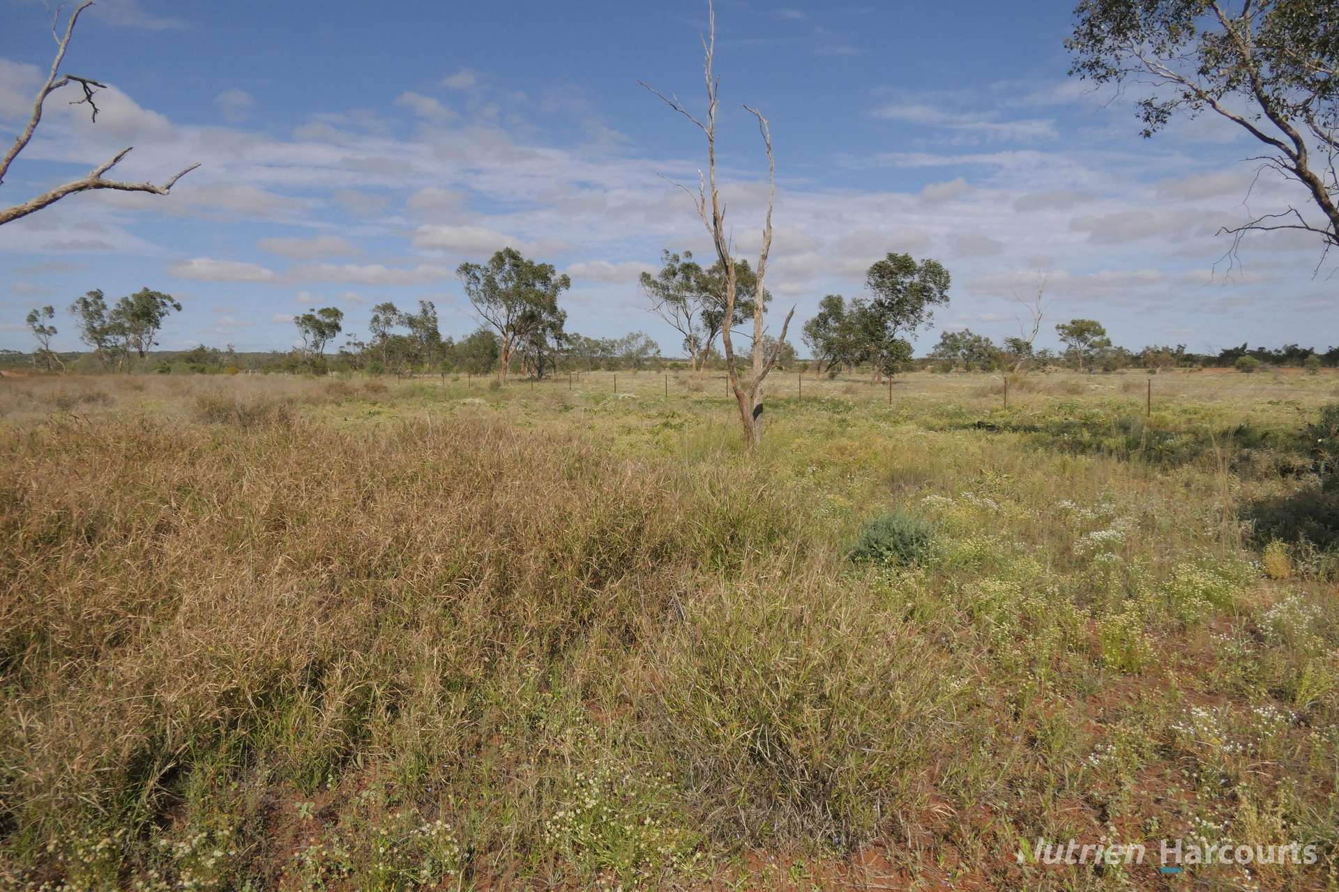 * Nantilla, Wanaaring For Sale by Farmbuy.com - image 4