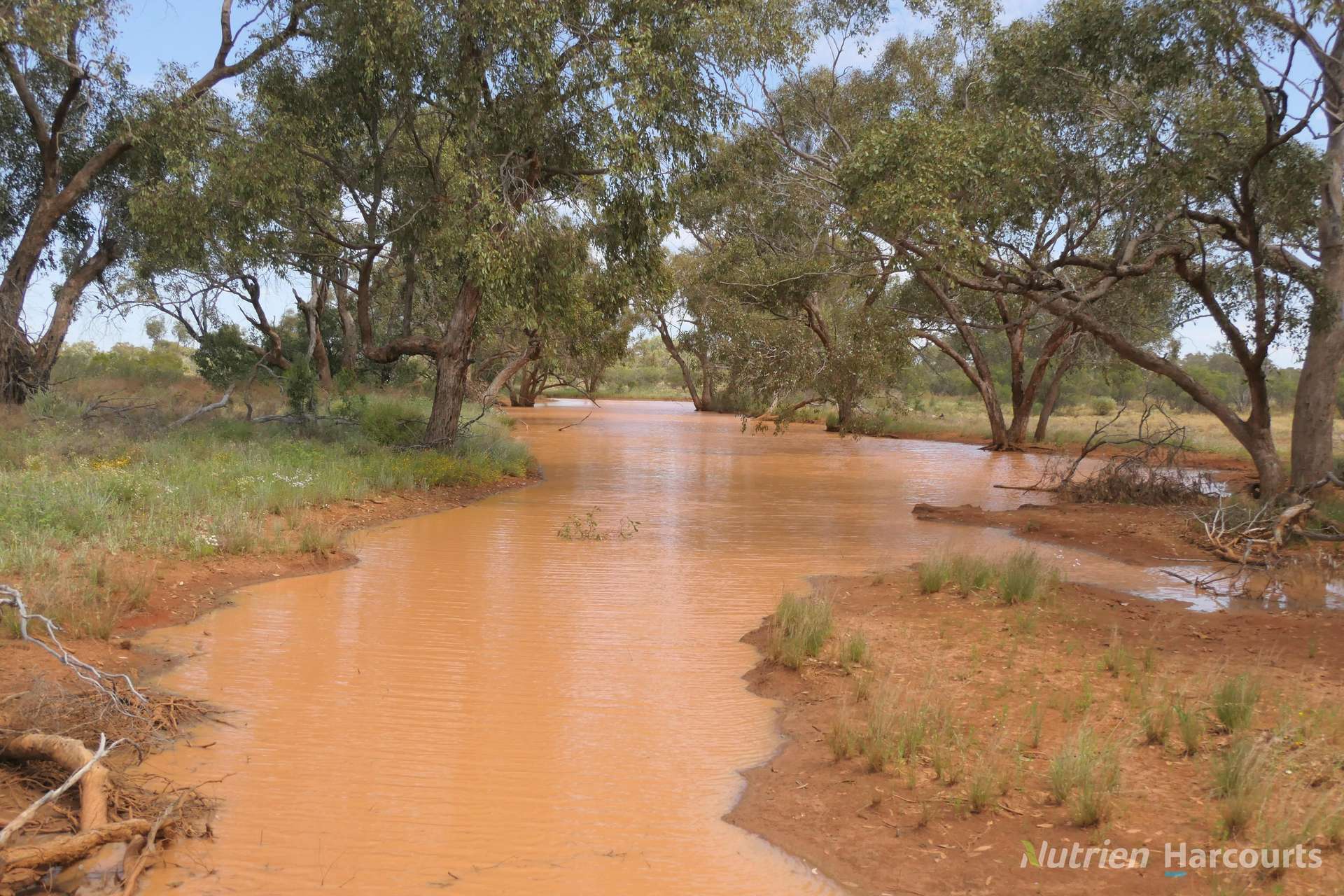 * Nantilla, Wanaaring For Sale by Farmbuy.com - image 8