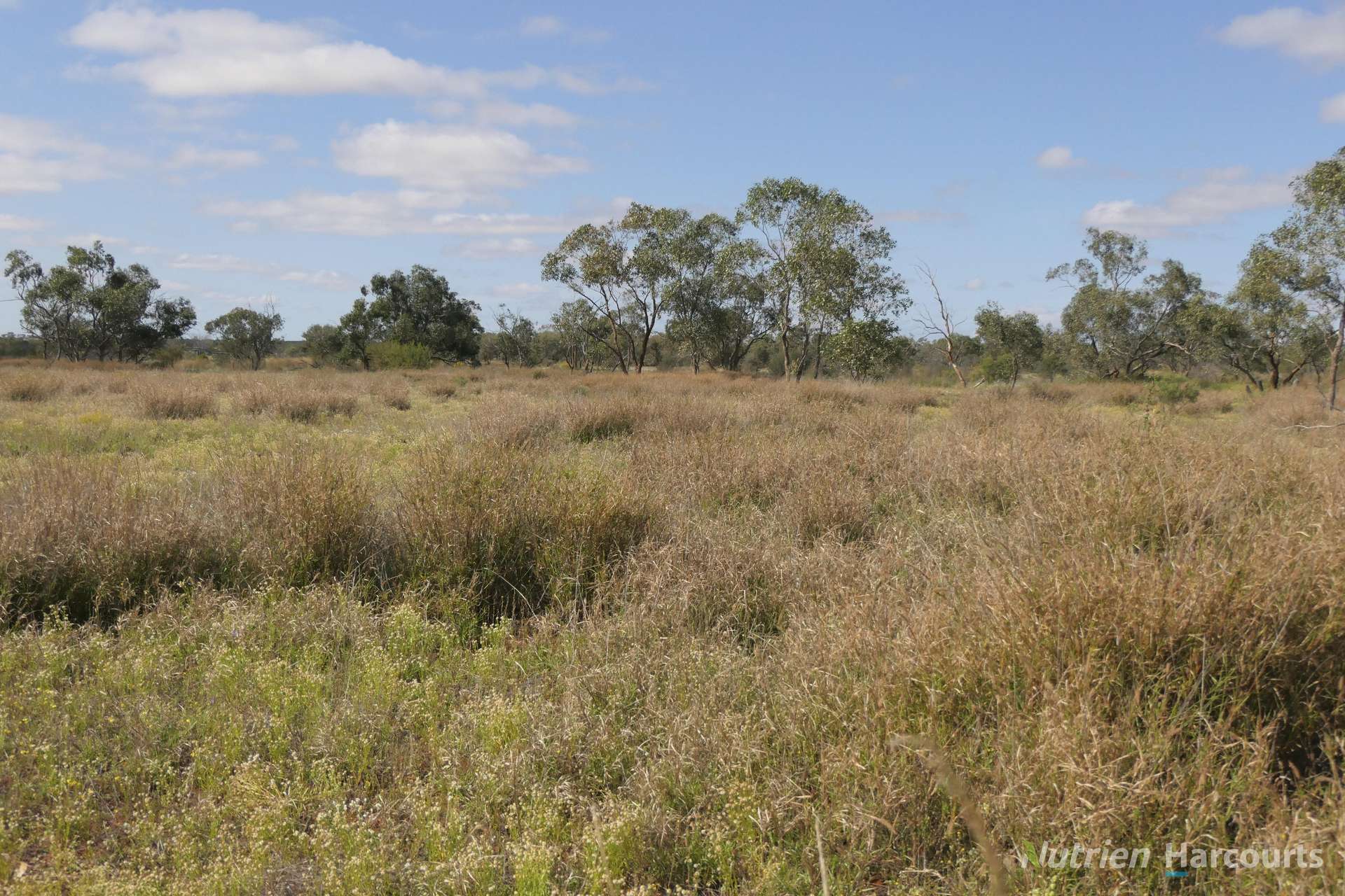 * Nantilla, Wanaaring For Sale by Farmbuy.com - image 3