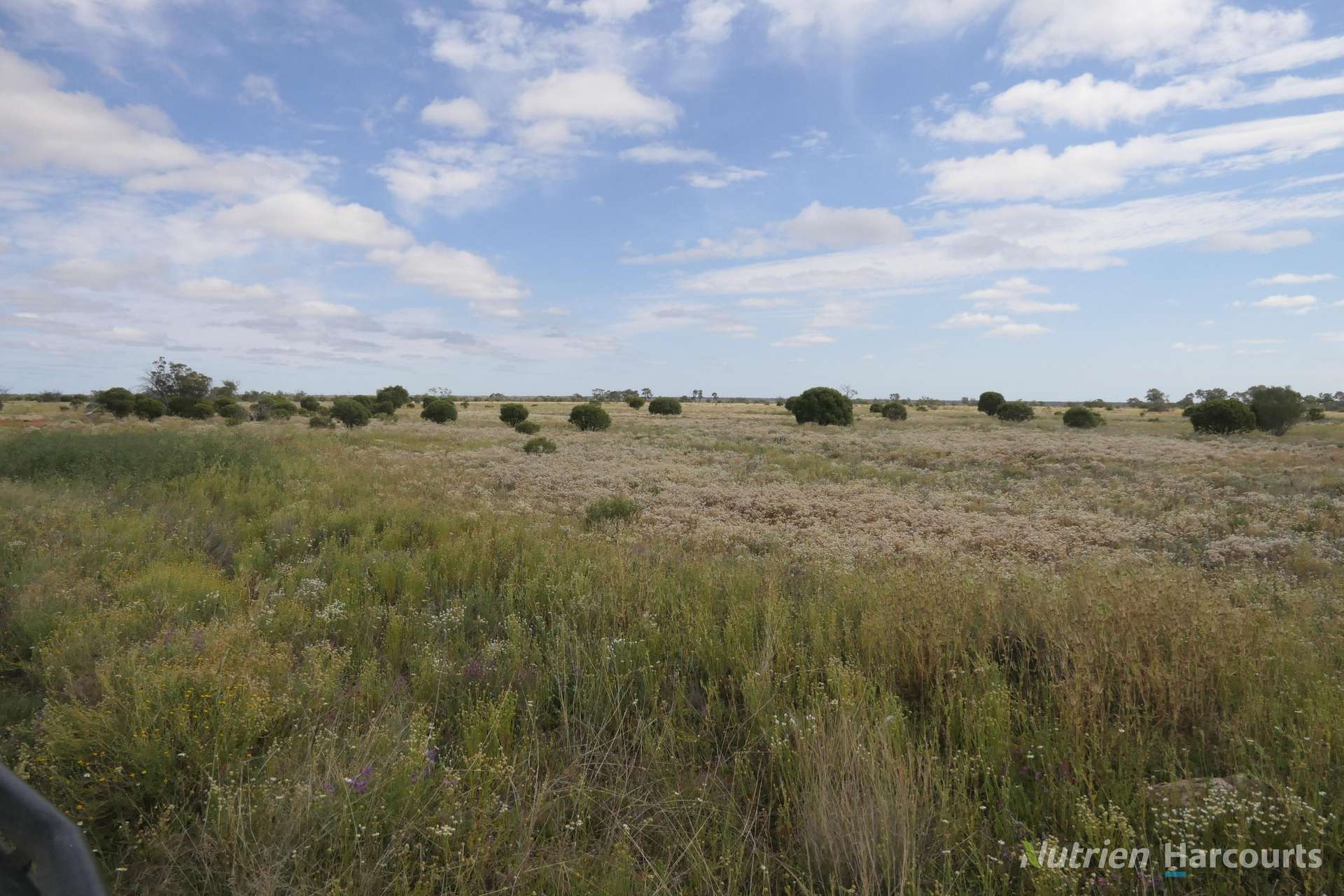 * Nantilla, Wanaaring For Sale by Farmbuy.com - image 5