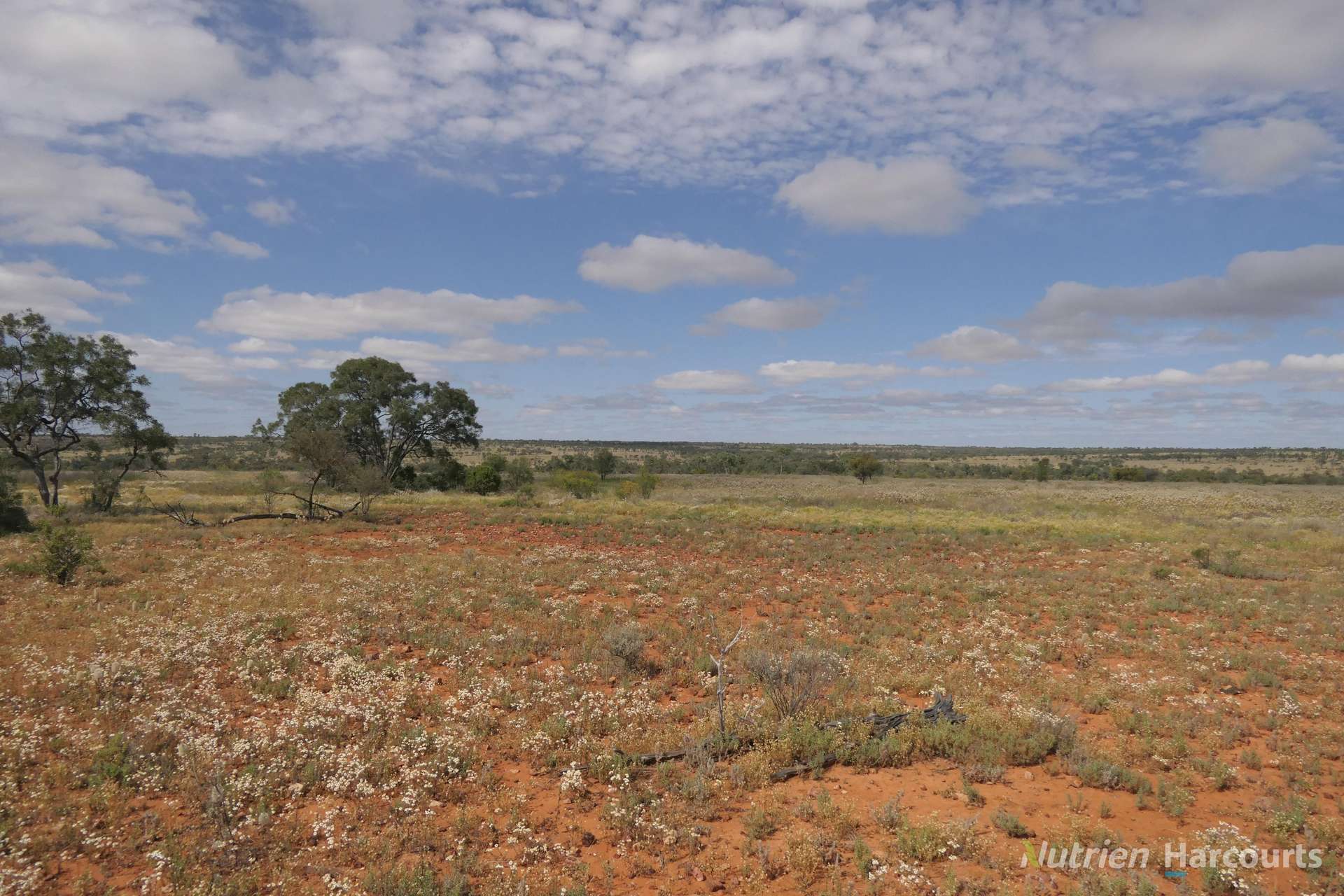 * Nantilla, Wanaaring For Sale by Farmbuy.com - image 6