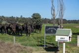 4861 Coonabarabran Road, Coonabarabran Auction by Ray White Korff & Co