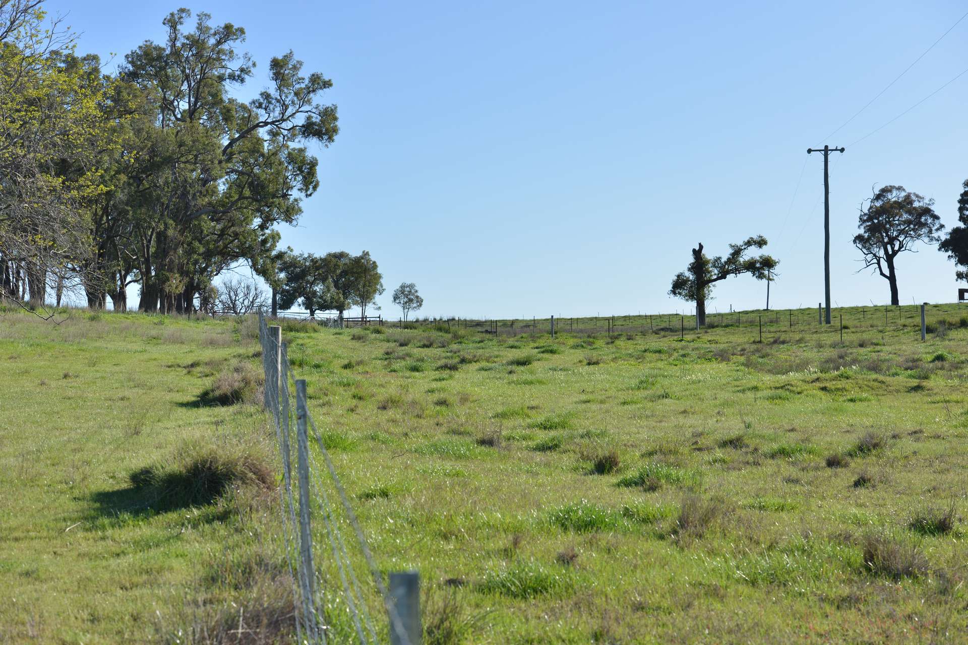 4861 Coonabarabran Road, Coonabarabran Auction by Farmbuy.com - image 29