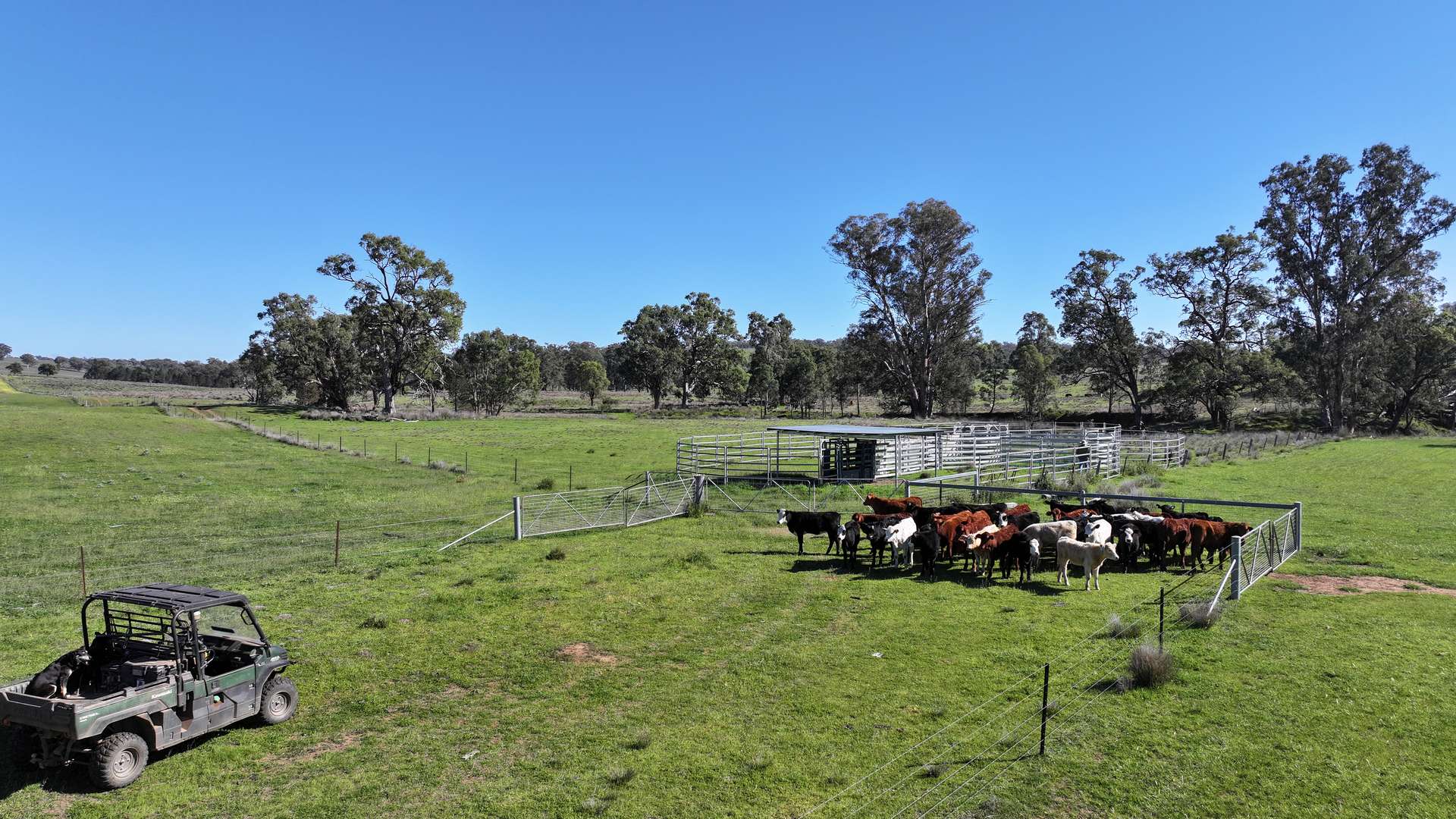 4861 Coonabarabran Road, Coonabarabran Auction by Farmbuy.com - image 13