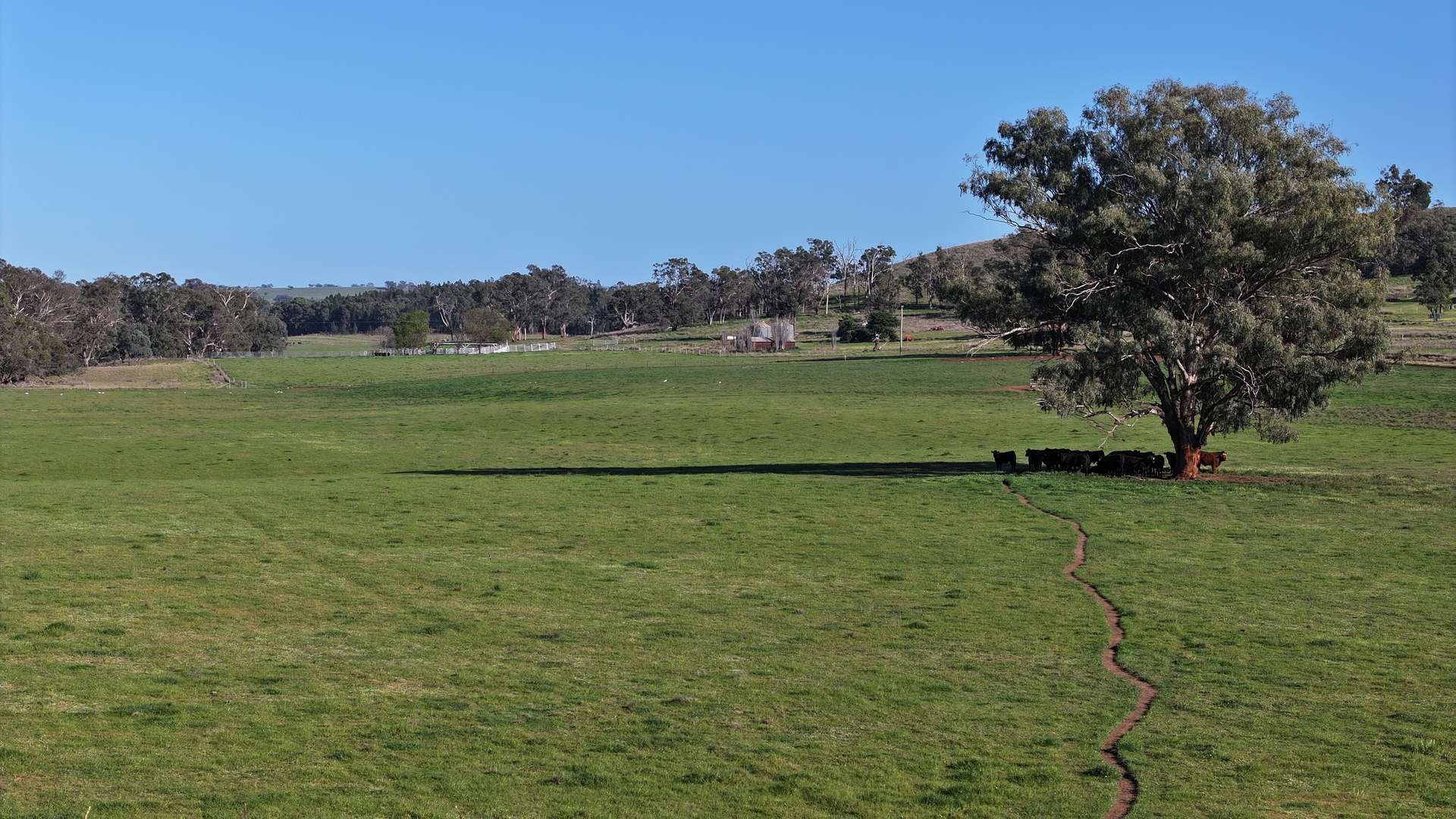 4861 Coonabarabran Road, Coonabarabran Auction by Farmbuy.com - image 35