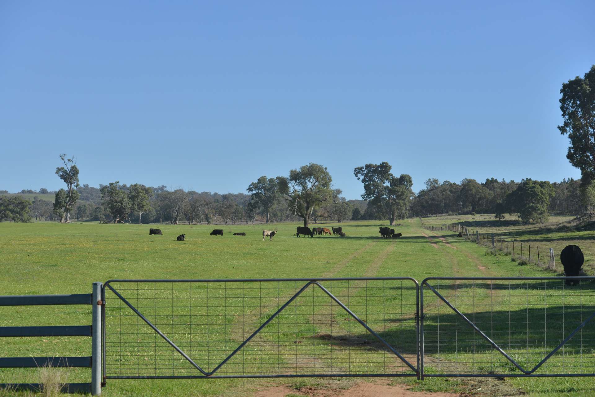4861 Coonabarabran Road, Coonabarabran Auction by Farmbuy.com - image 30