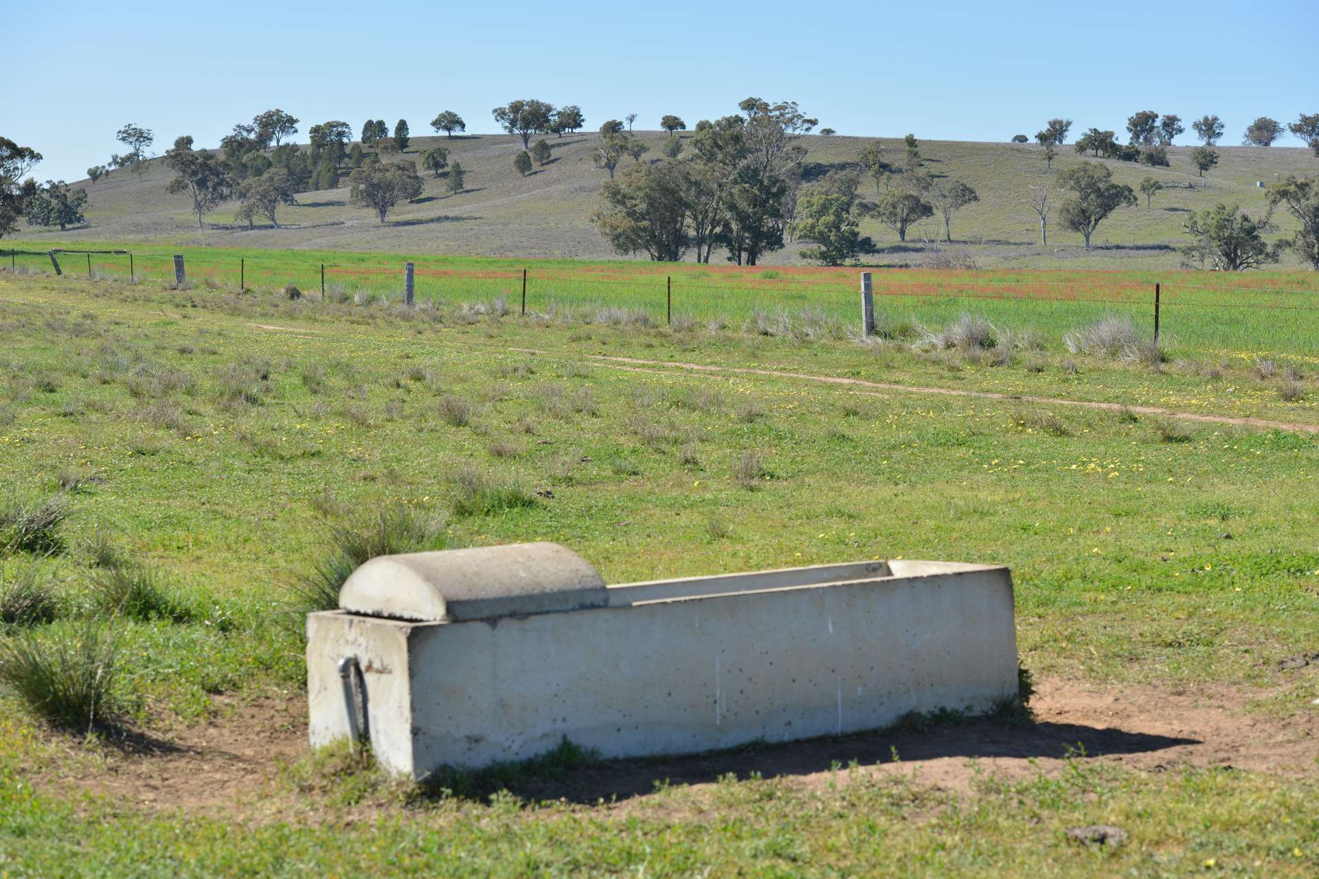 4861 Coonabarabran Road, Coonabarabran Auction by Farmbuy.com - image 32