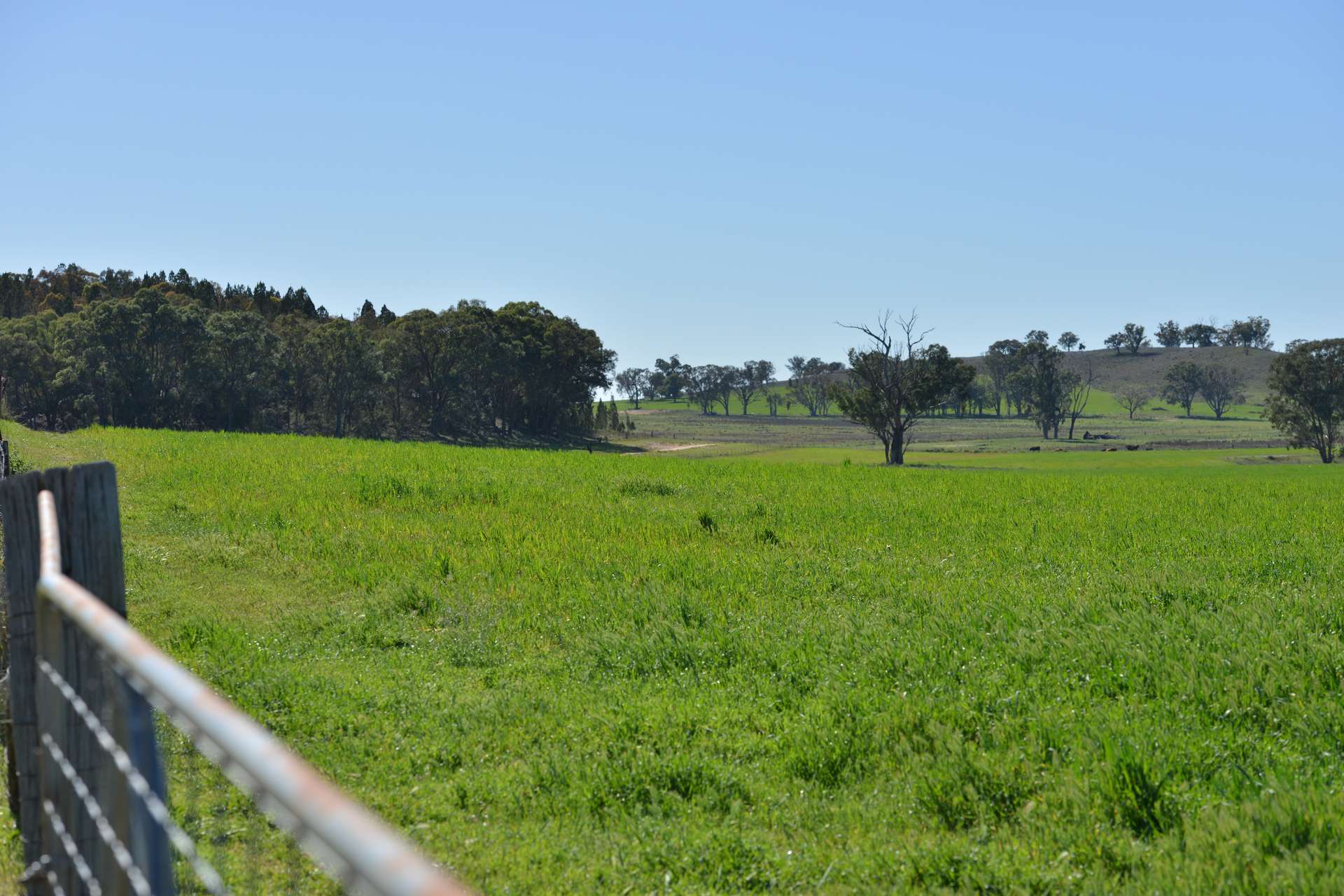 4861 Coonabarabran Road, Coonabarabran Auction by Farmbuy.com - image 34