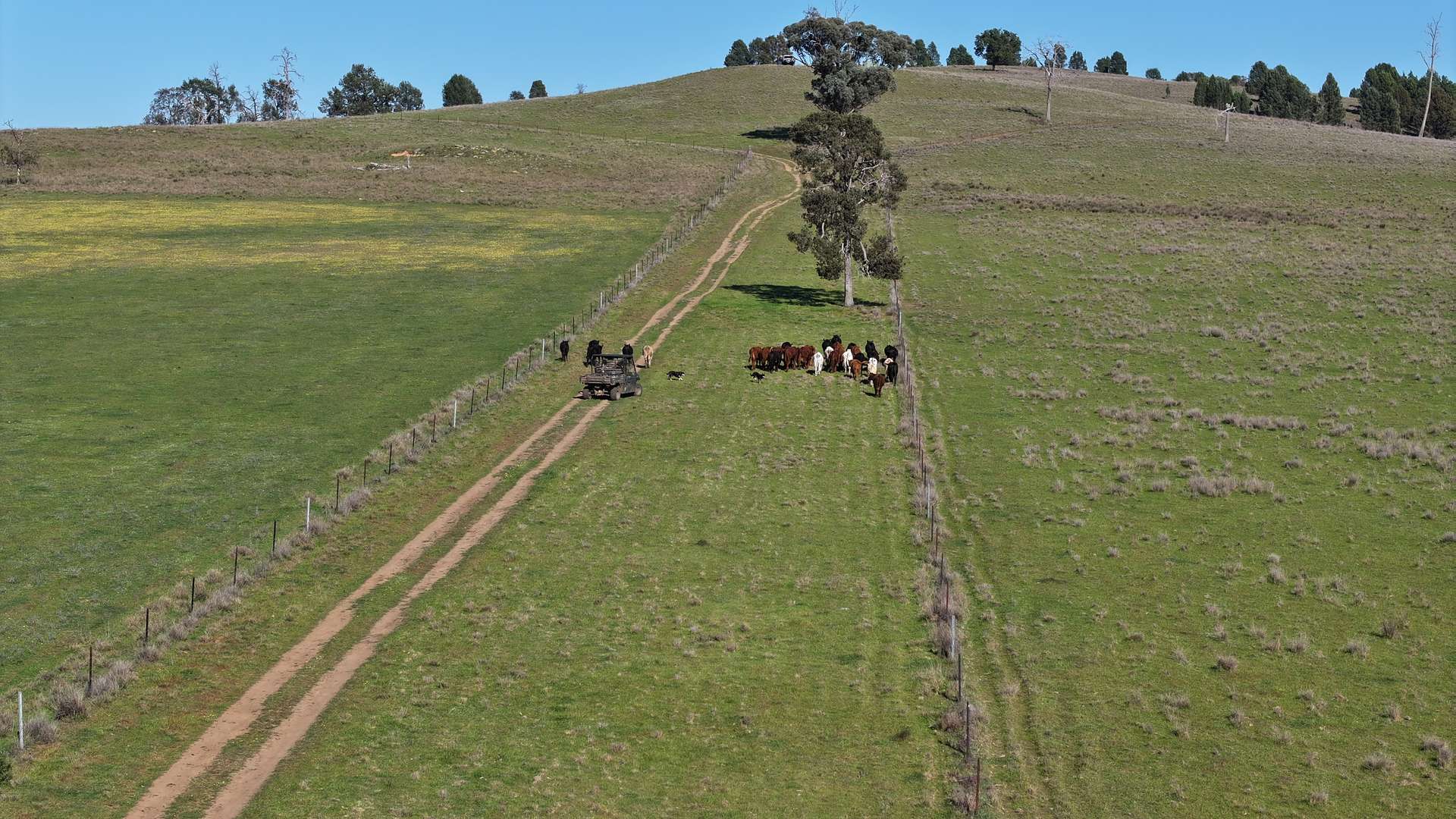 4861 Coonabarabran Road, Coonabarabran Auction by Farmbuy.com - image 7