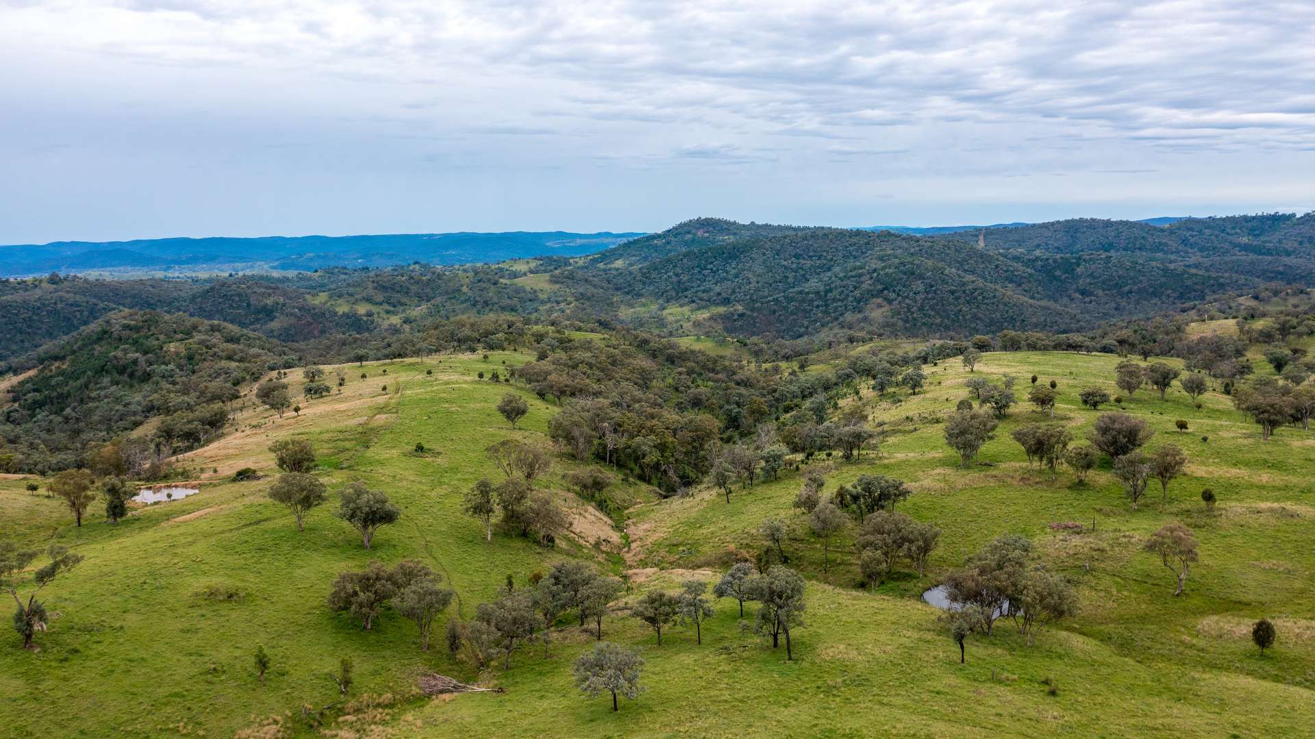 1102 Woodburn Emello Road, Barraba For Sale by Farmbuy.com - image 8