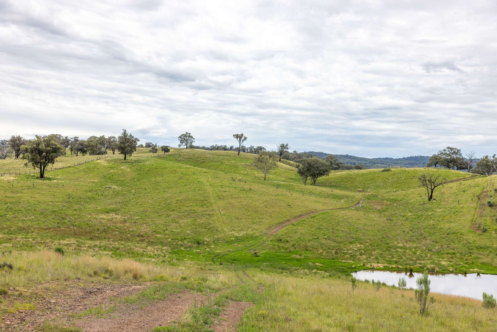 1102 Woodburn Emello Road, Barraba For Sale by Farmbuy.com - image 2
