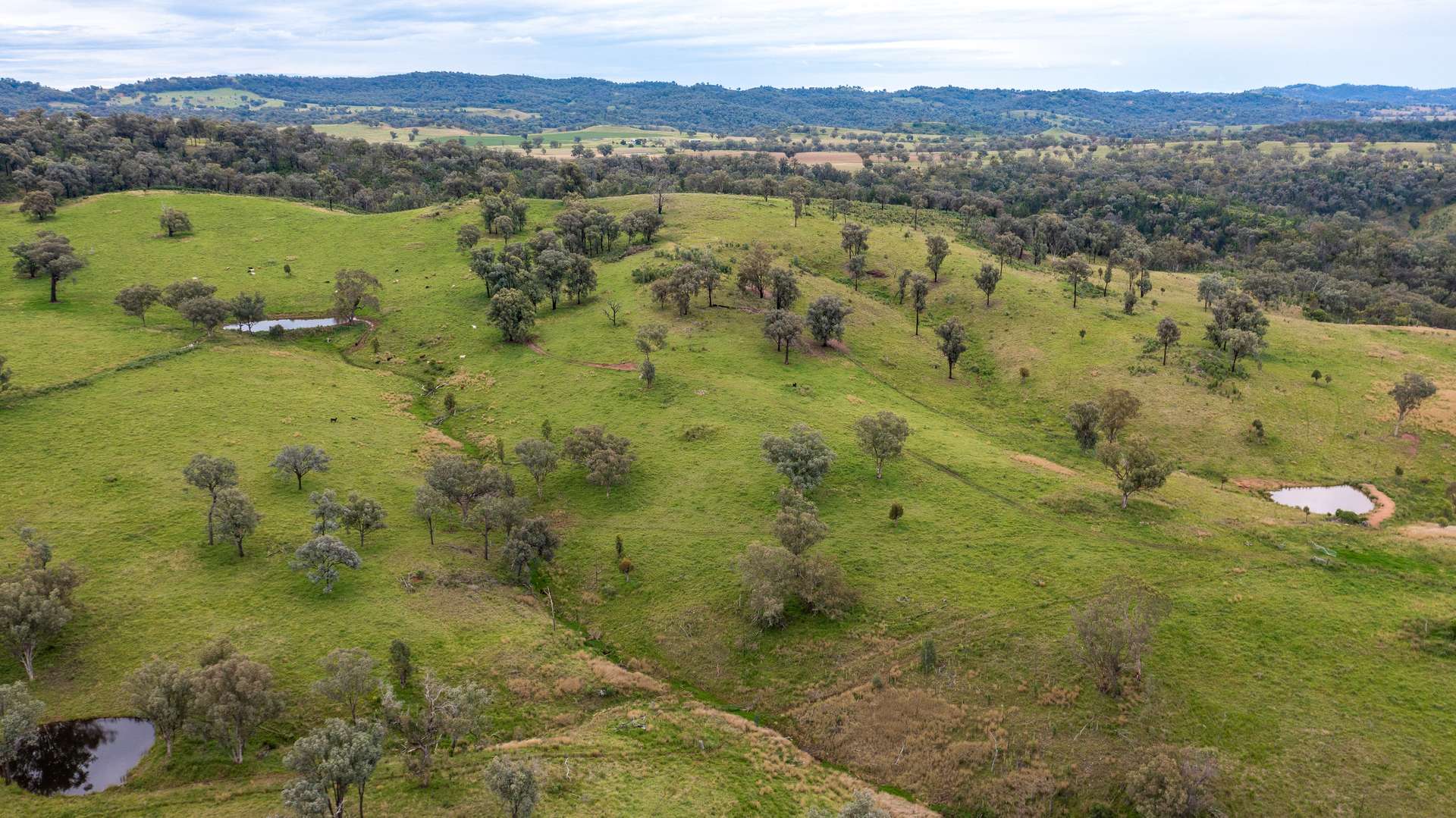 1102 Woodburn Emello Road, Barraba For Sale by Farmbuy.com - image 11