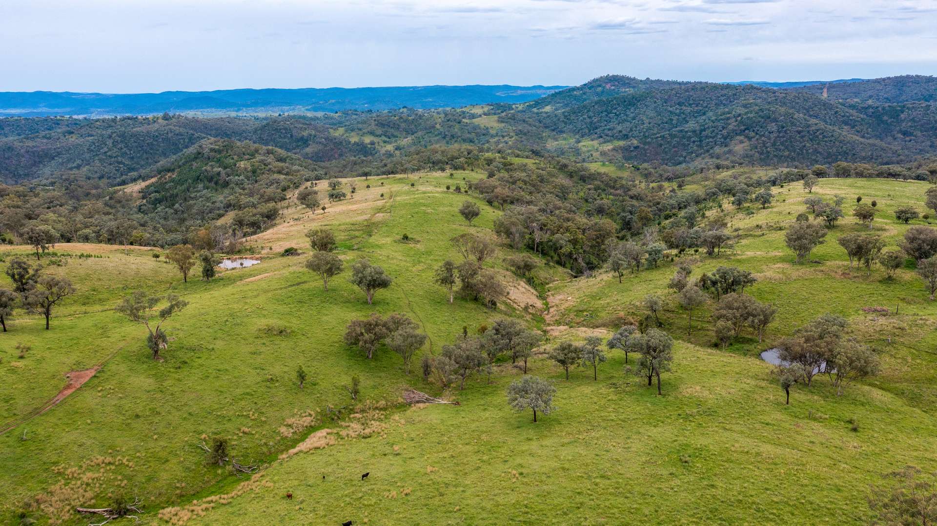 1102 Woodburn Emello Road, Barraba For Sale by Farmbuy.com - image 7