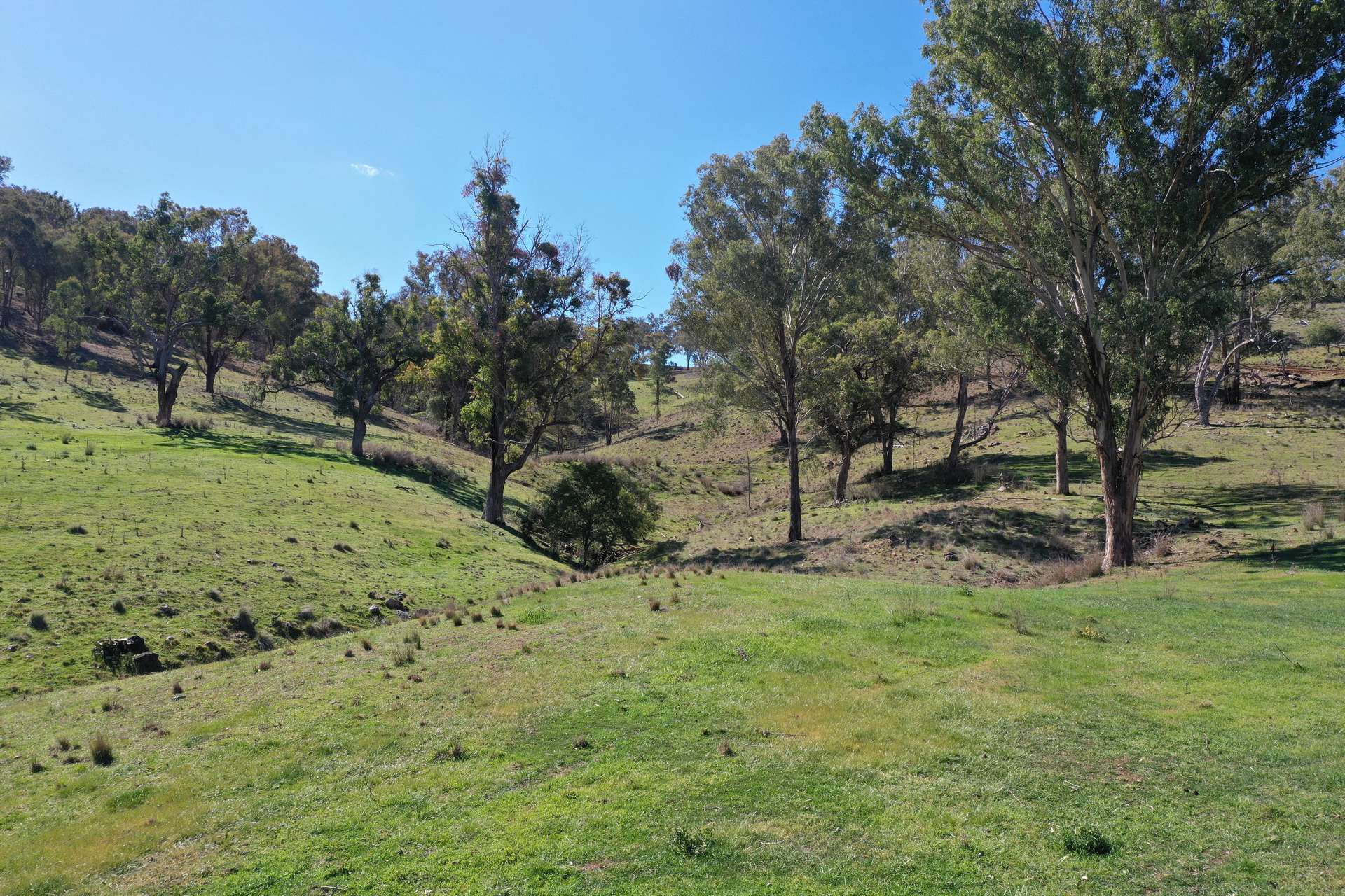 1102 Woodburn Emello Road, Barraba For Sale by Farmbuy.com - image 26