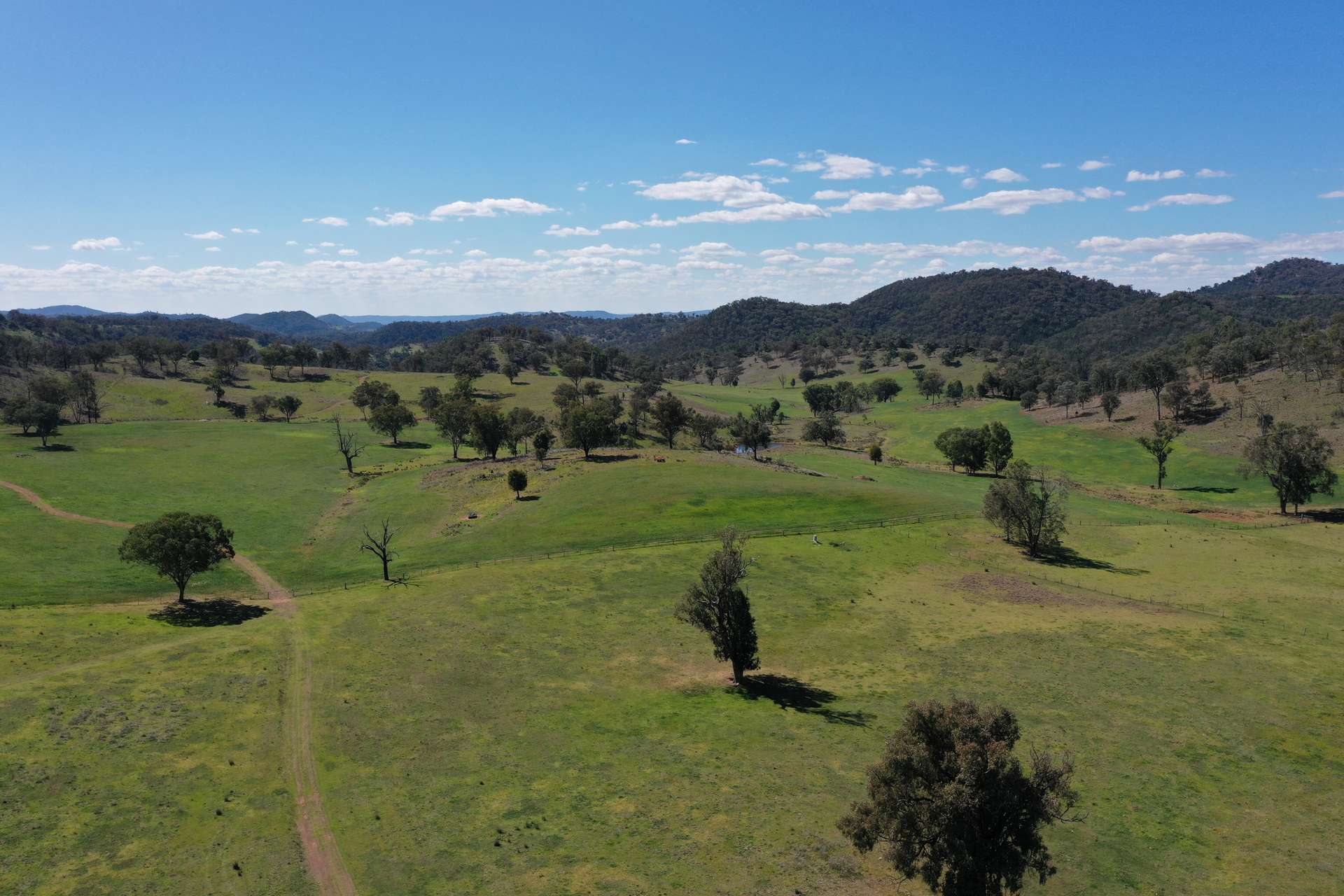 1102 Woodburn Emello Road, Barraba For Sale by Farmbuy.com - image 24