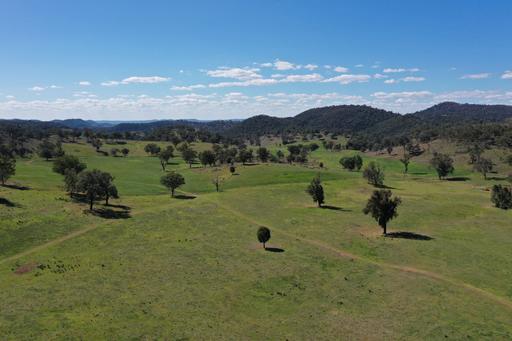 1102 Woodburn Emello Road, Barraba NSW 2347