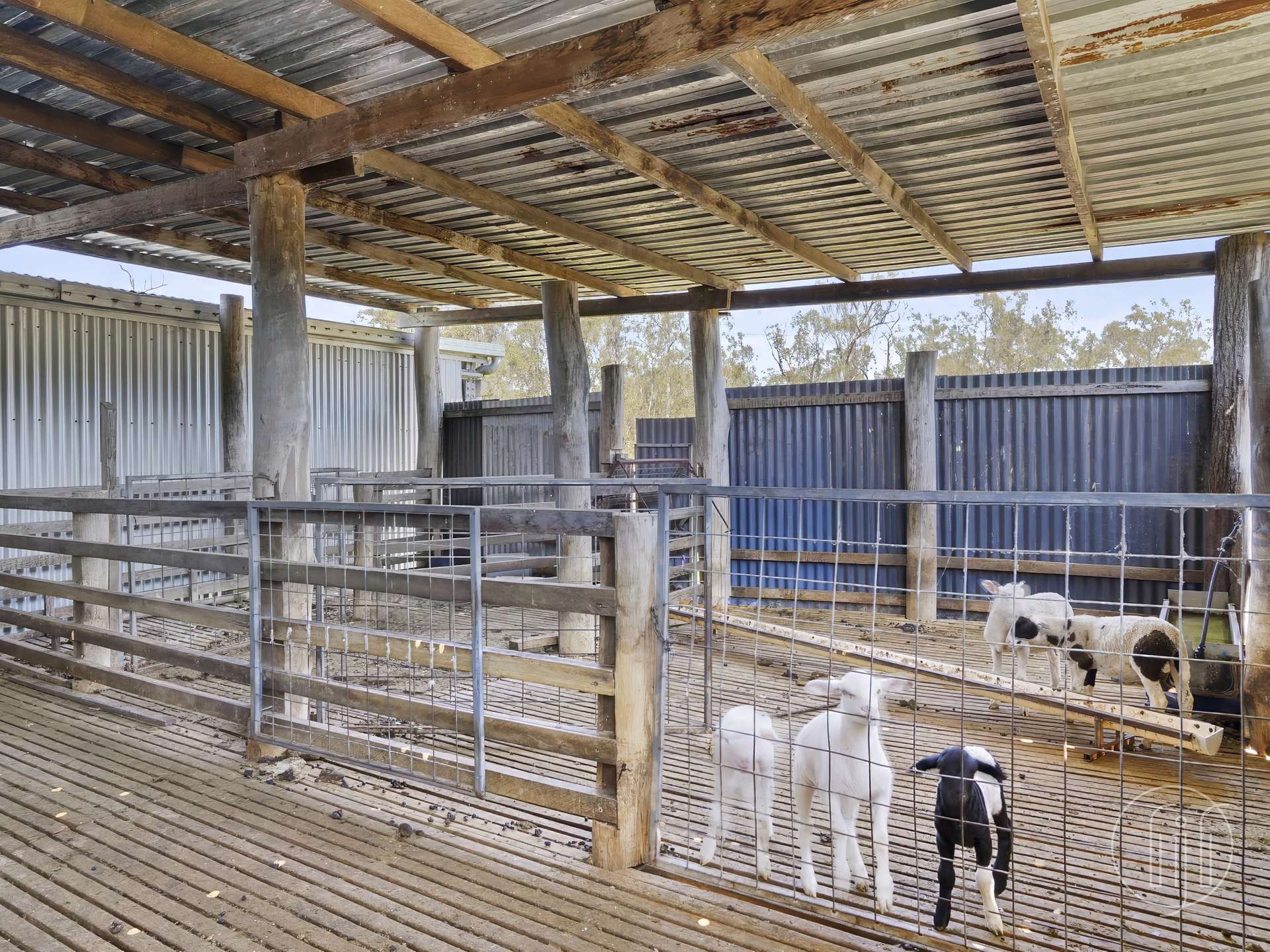 78 Ballard Road, Imbil For Sale by Farmbuy.com - image 32