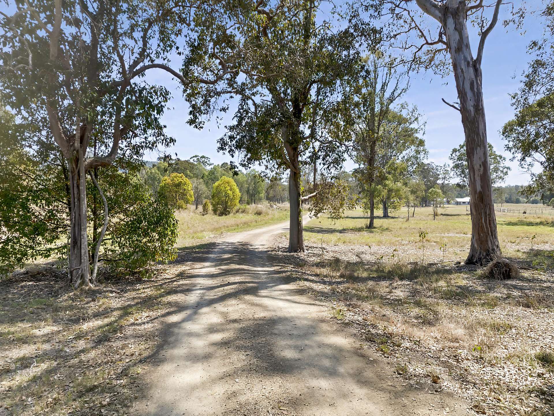 78 Ballard Road, Imbil For Sale by Farmbuy.com - image 3