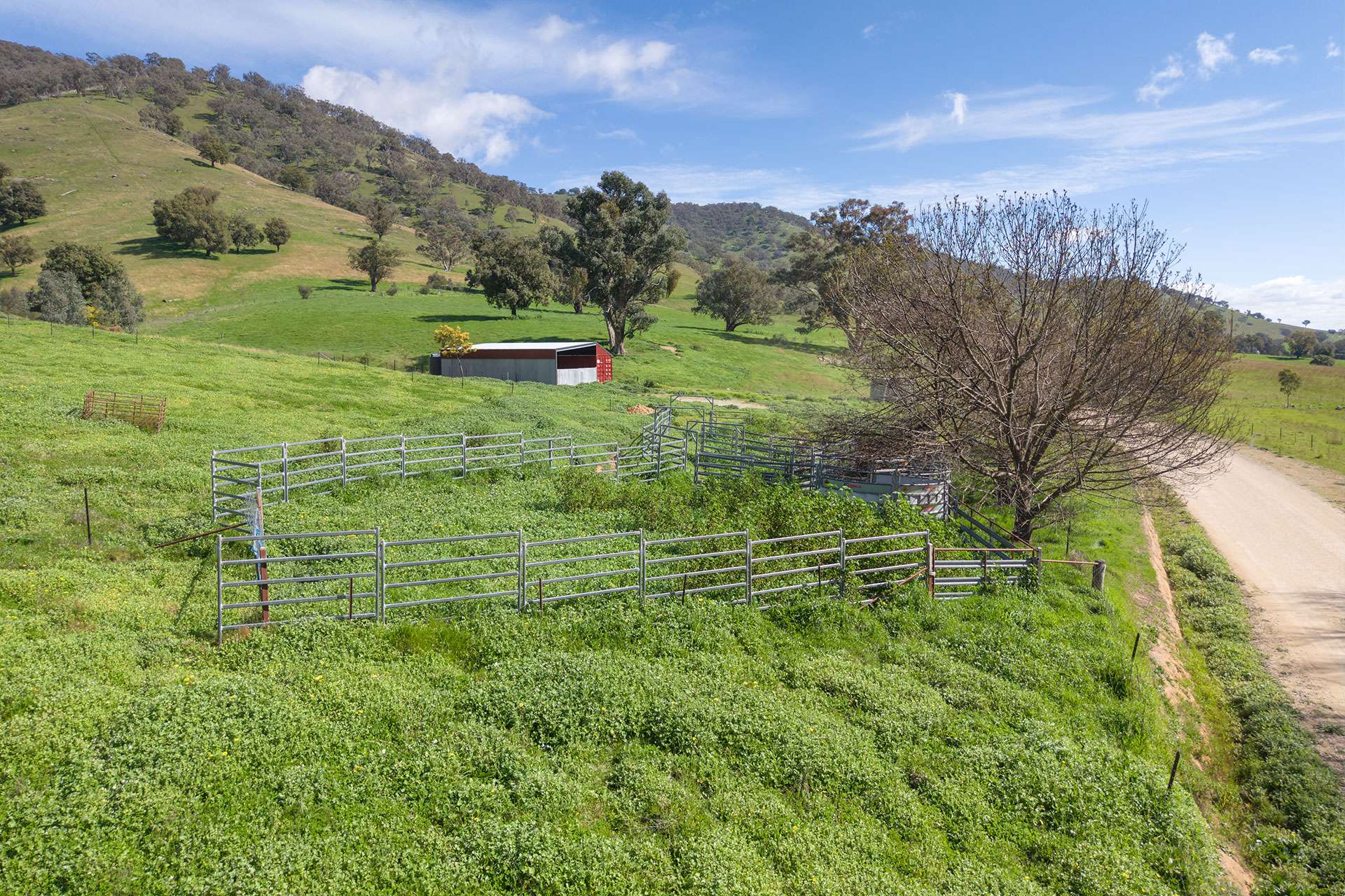 520 Wises Creek Rd, Talgarno Auction by Farmbuy.com - image 24
