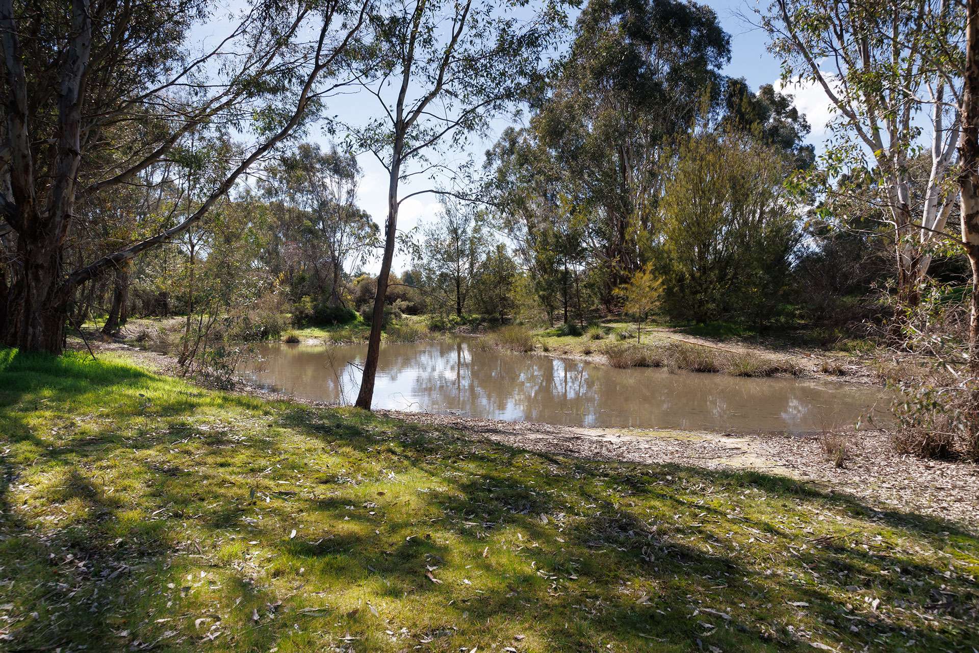 53 Malabar Road, Holbrook Auction by Farmbuy.com - image 25