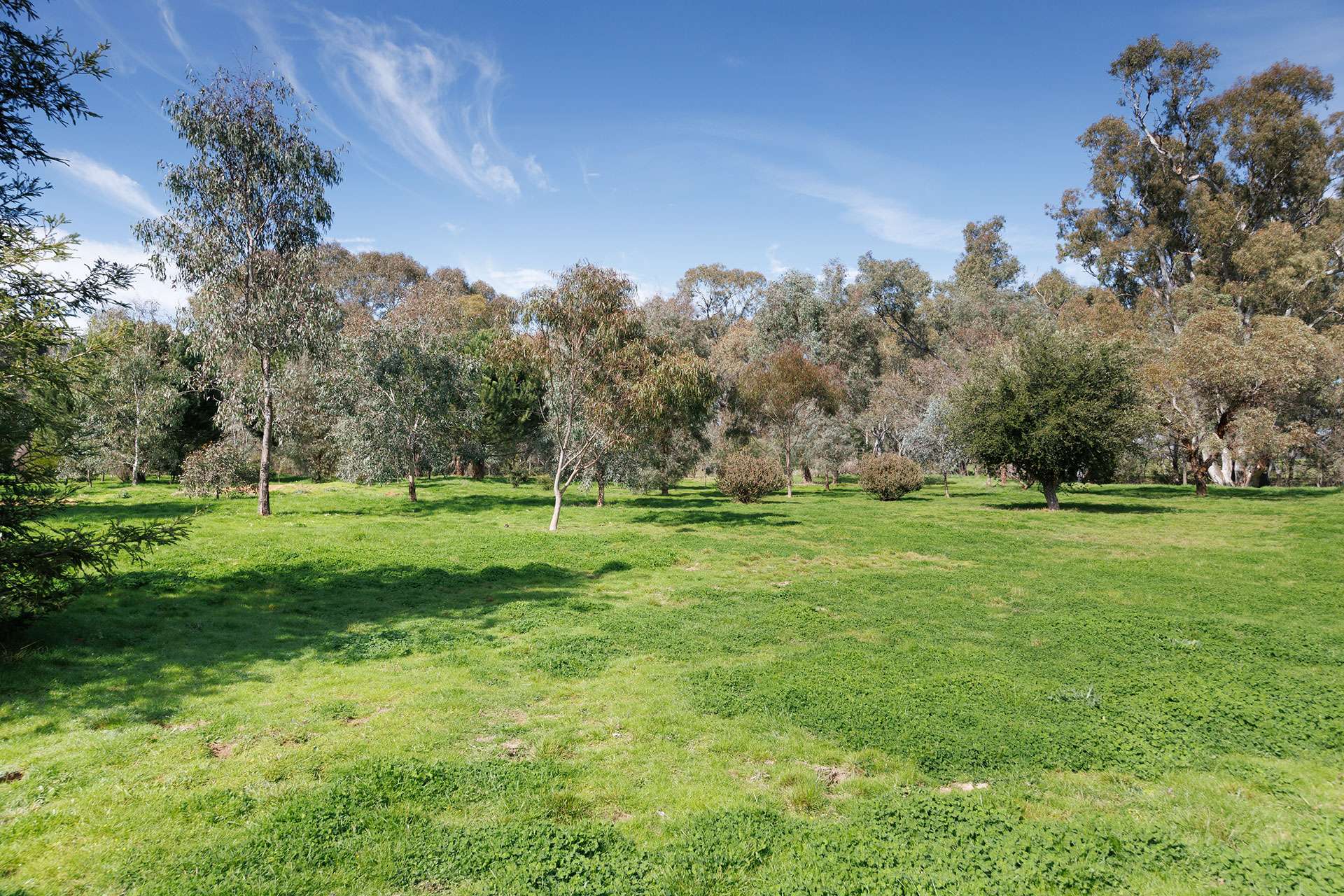 53 Malabar Road, Holbrook Auction by Farmbuy.com - image 30