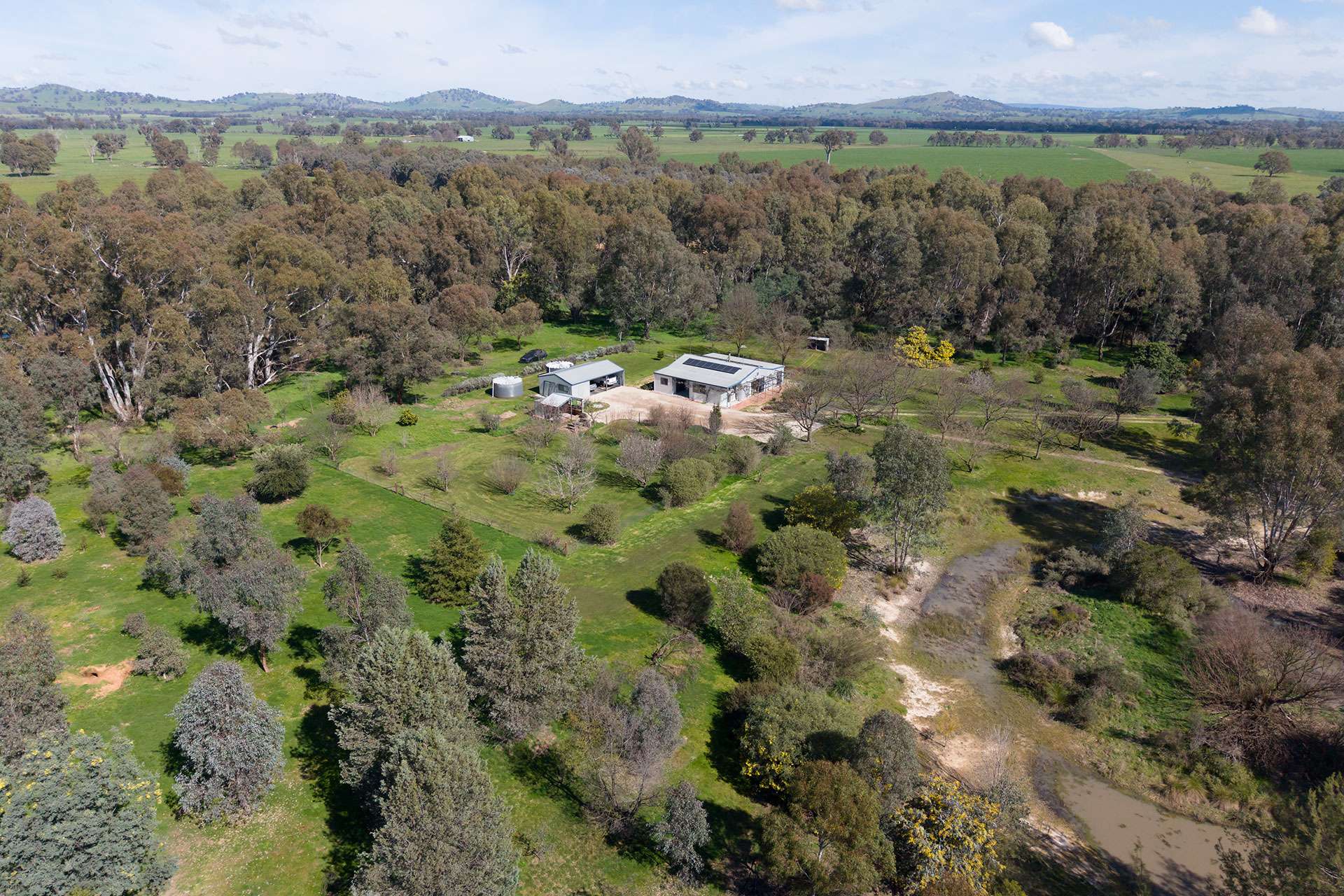 53 Malabar Road, Holbrook Auction by Farmbuy.com - image 28