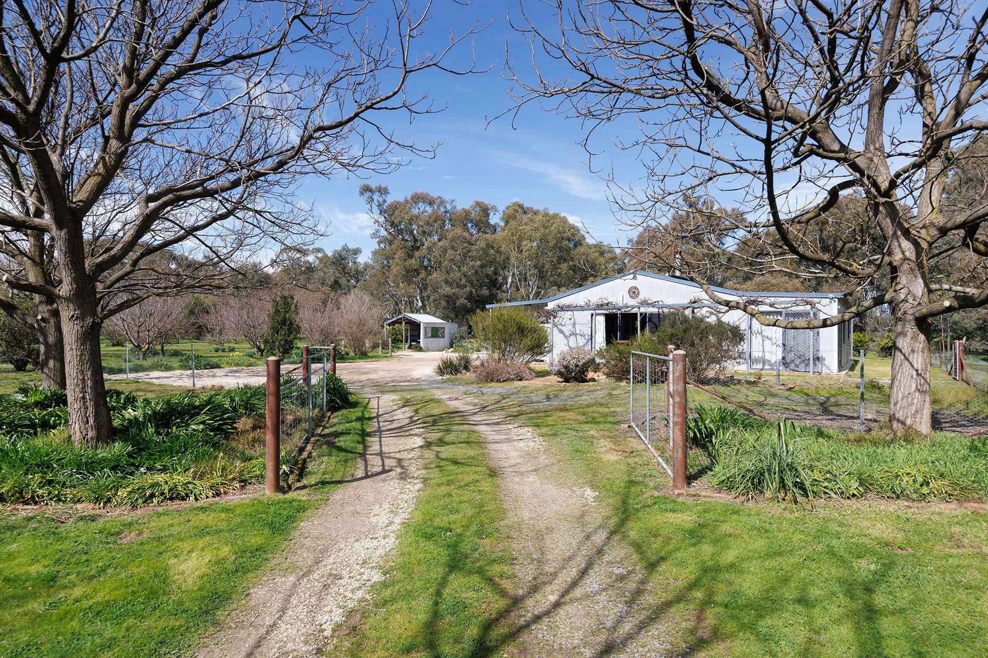 53 Malabar Road, Holbrook Auction by Farmbuy.com - image 18