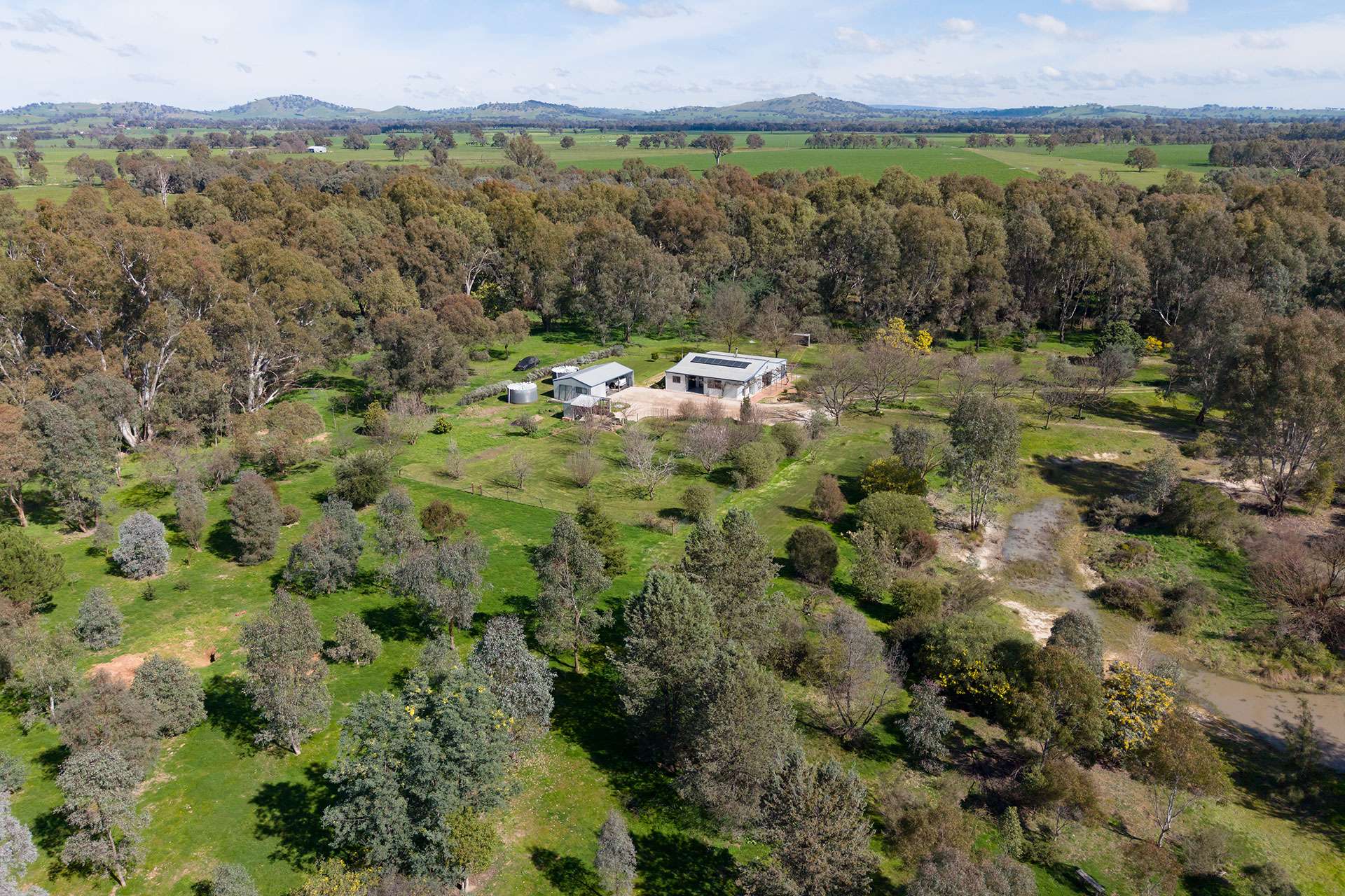 53 Malabar Road, Holbrook Auction by Farmbuy.com - image 29