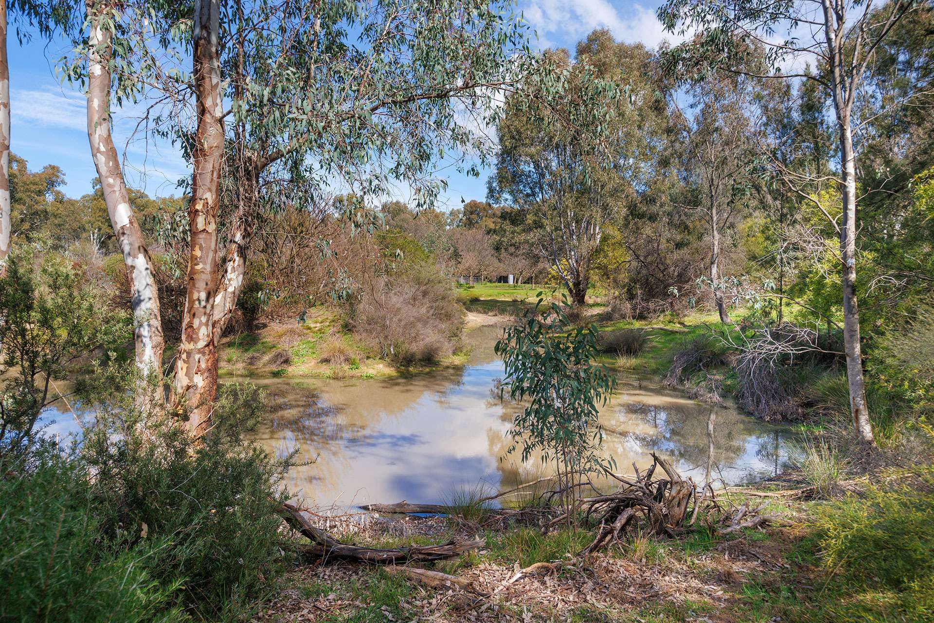 53 Malabar Road, Holbrook Auction by Farmbuy.com - image 23