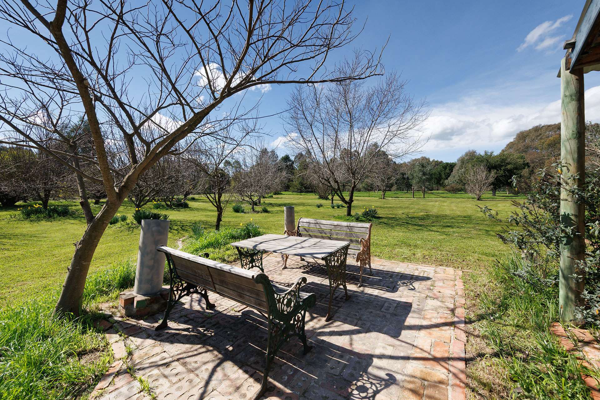 53 Malabar Road, Holbrook Auction by Farmbuy.com - image 14