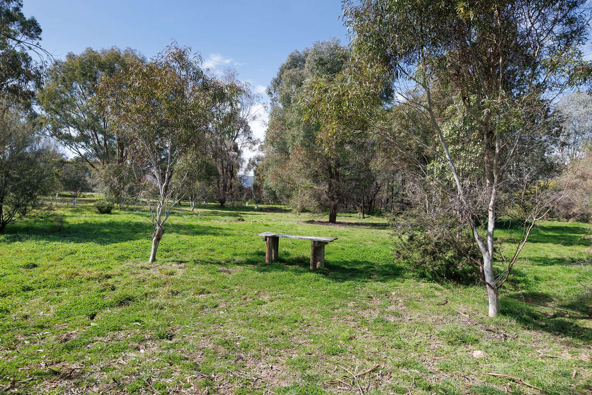53 Malabar Road, Holbrook Auction by Farmbuy.com - image 24