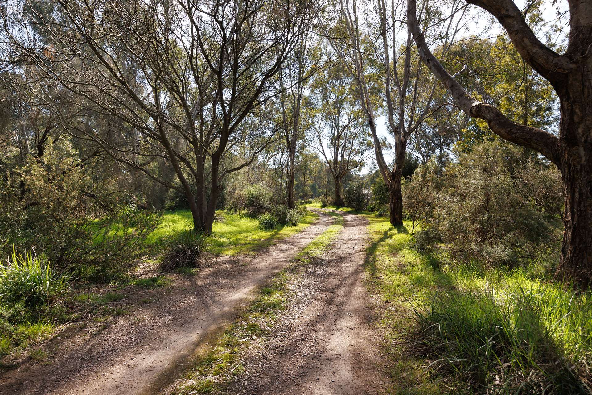 53 Malabar Road, Holbrook Auction by Farmbuy.com - image 26
