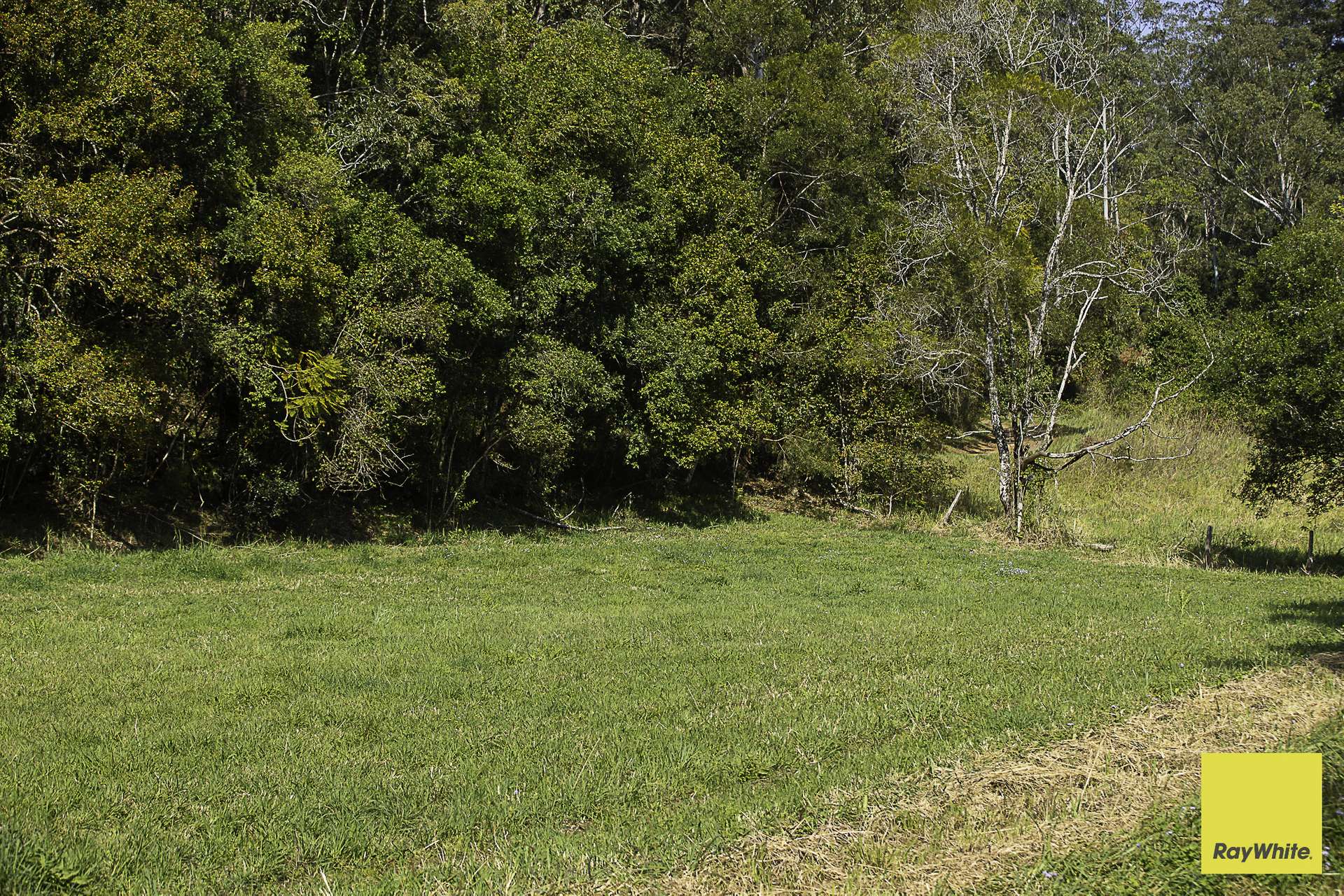 701 Darkwood Road, Thora For Sale by Farmbuy.com - image 28