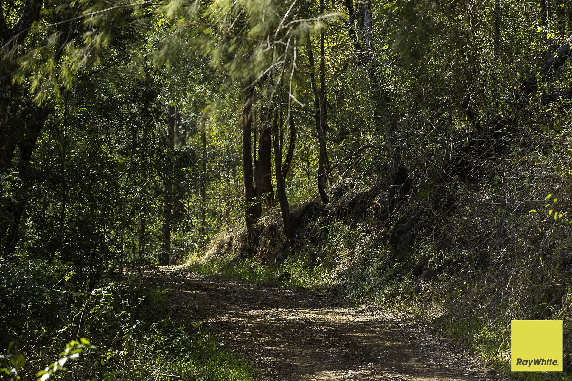 701 Darkwood Road, Thora For Sale by Farmbuy.com - image 29