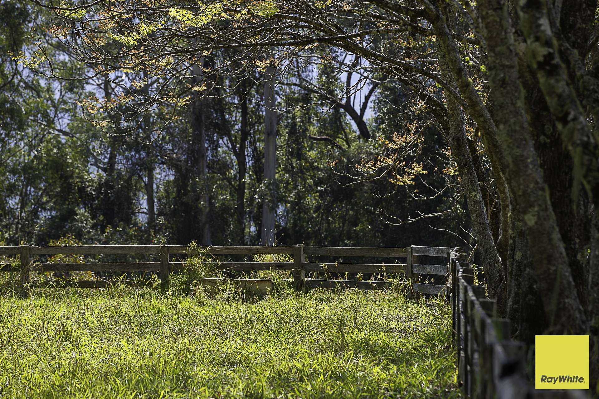 701 Darkwood Road, Thora For Sale by Farmbuy.com - image 24