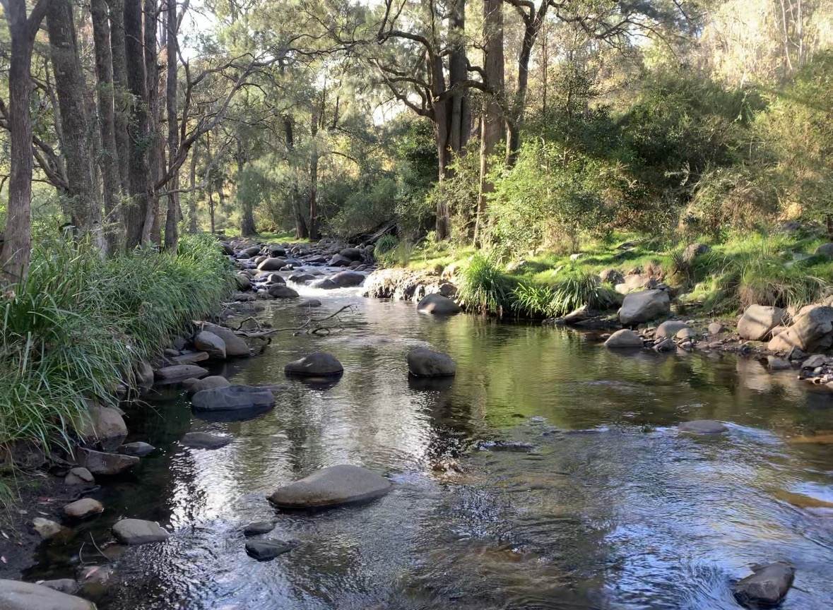 "Sunset Ridge" 840 Tomalla Road Omadale Via, Scone For Sale by Farmbuy.com - image 19