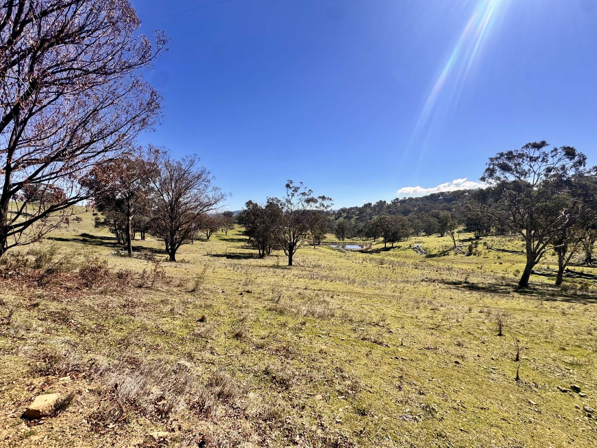 "Sunset Ridge" 840 Tomalla Road Omadale Via, Scone For Sale by Farmbuy.com - image 24
