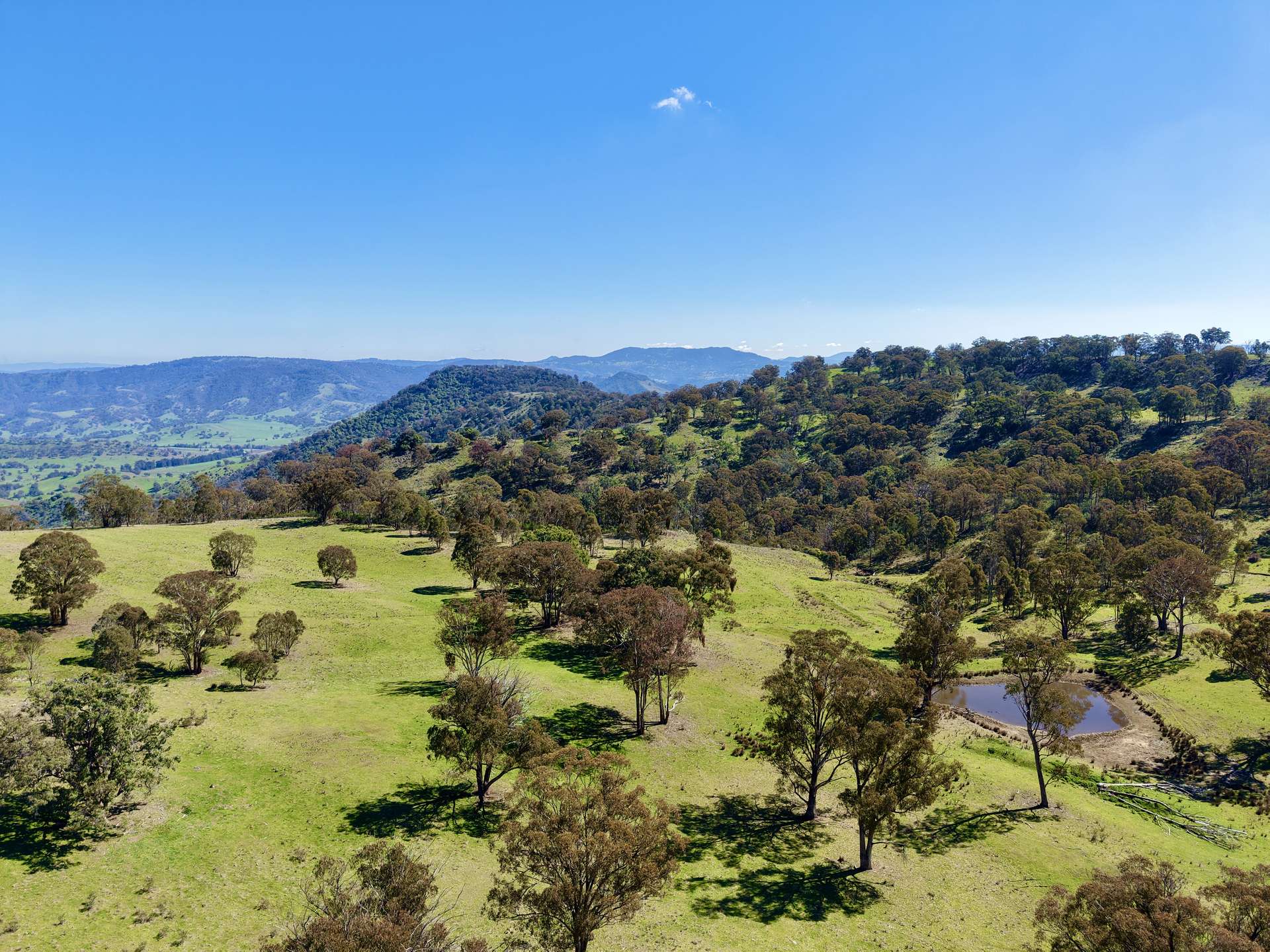 "Sunset Ridge" 840 Tomalla Road Omadale Via, Scone For Sale by Farmbuy.com - image 20