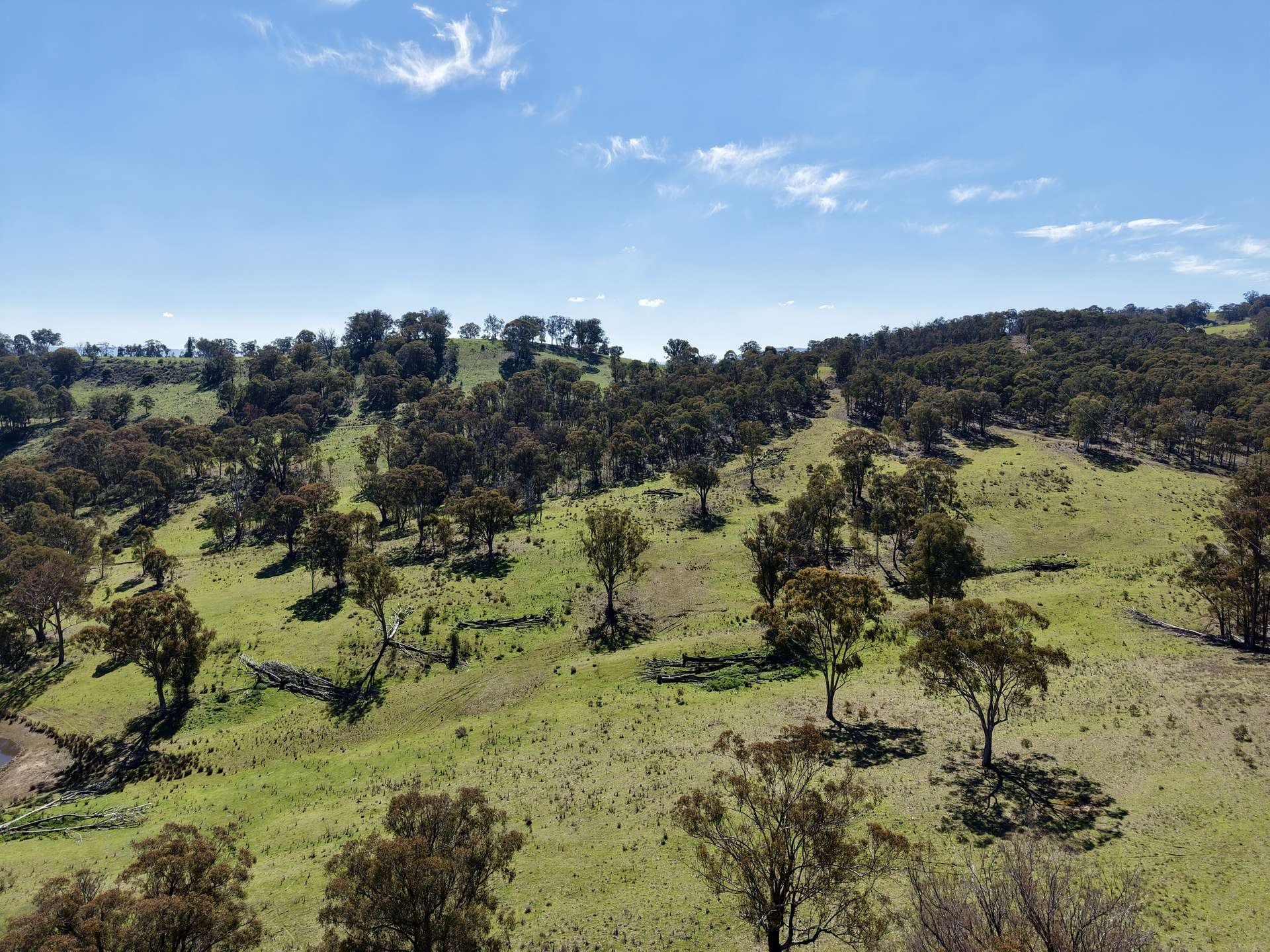 "Sunset Ridge" 840 Tomalla Road Omadale Via, Scone For Sale by Farmbuy.com - image 21