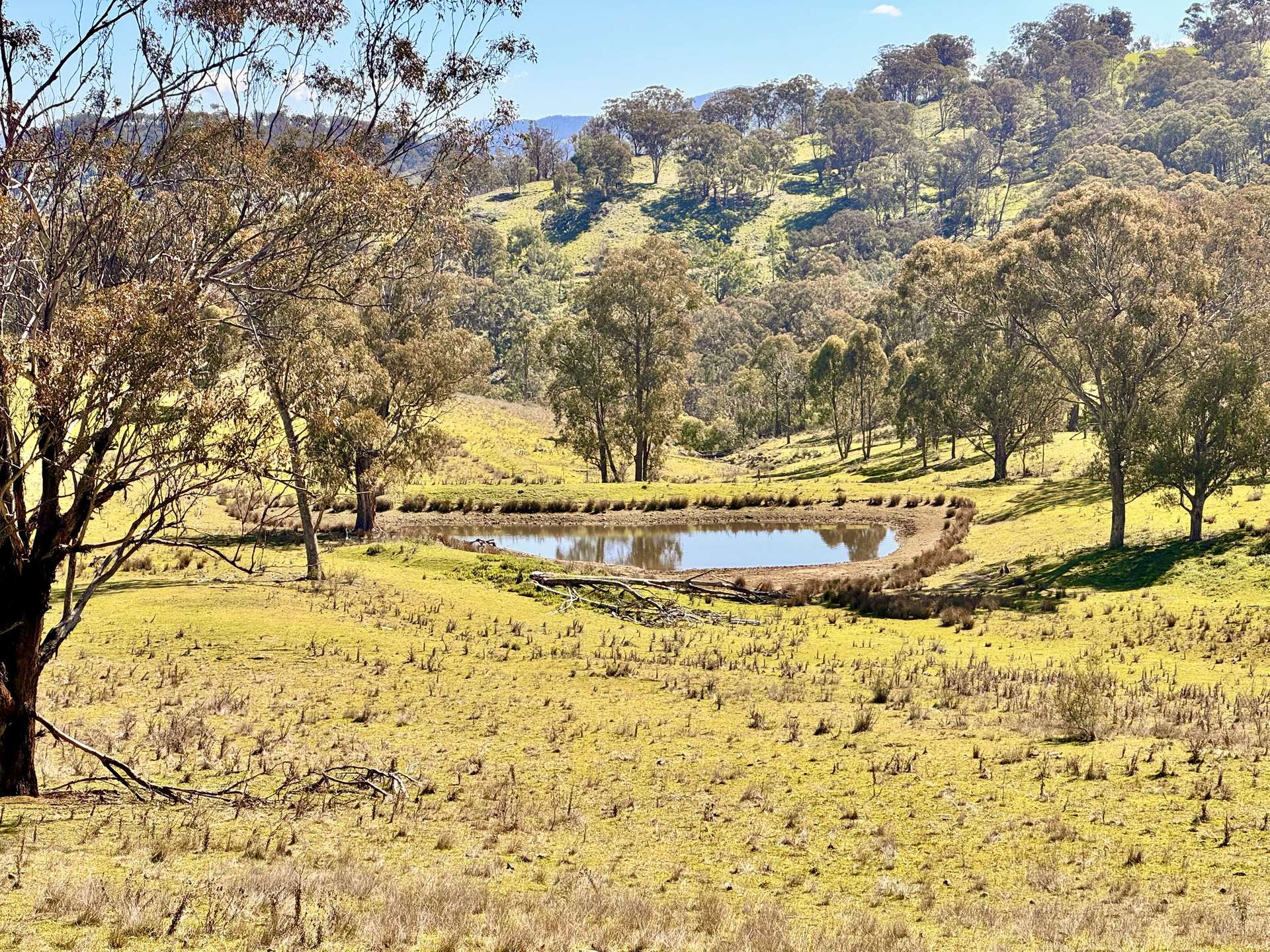 "Sunset Ridge" 840 Tomalla Road Omadale Via, Scone For Sale by Farmbuy.com - image 27