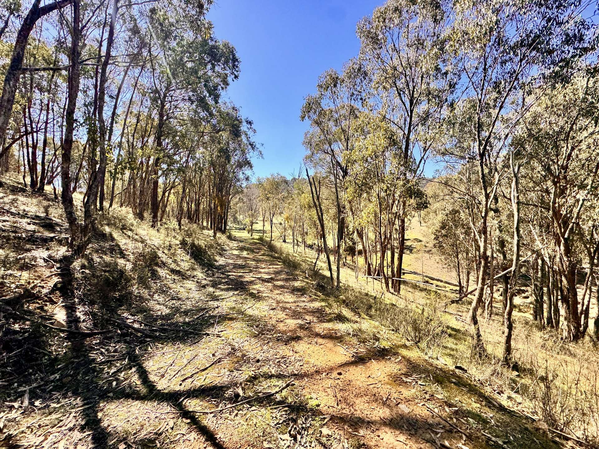 "Sunset Ridge" 840 Tomalla Road Omadale Via, Scone For Sale by Farmbuy.com - image 25