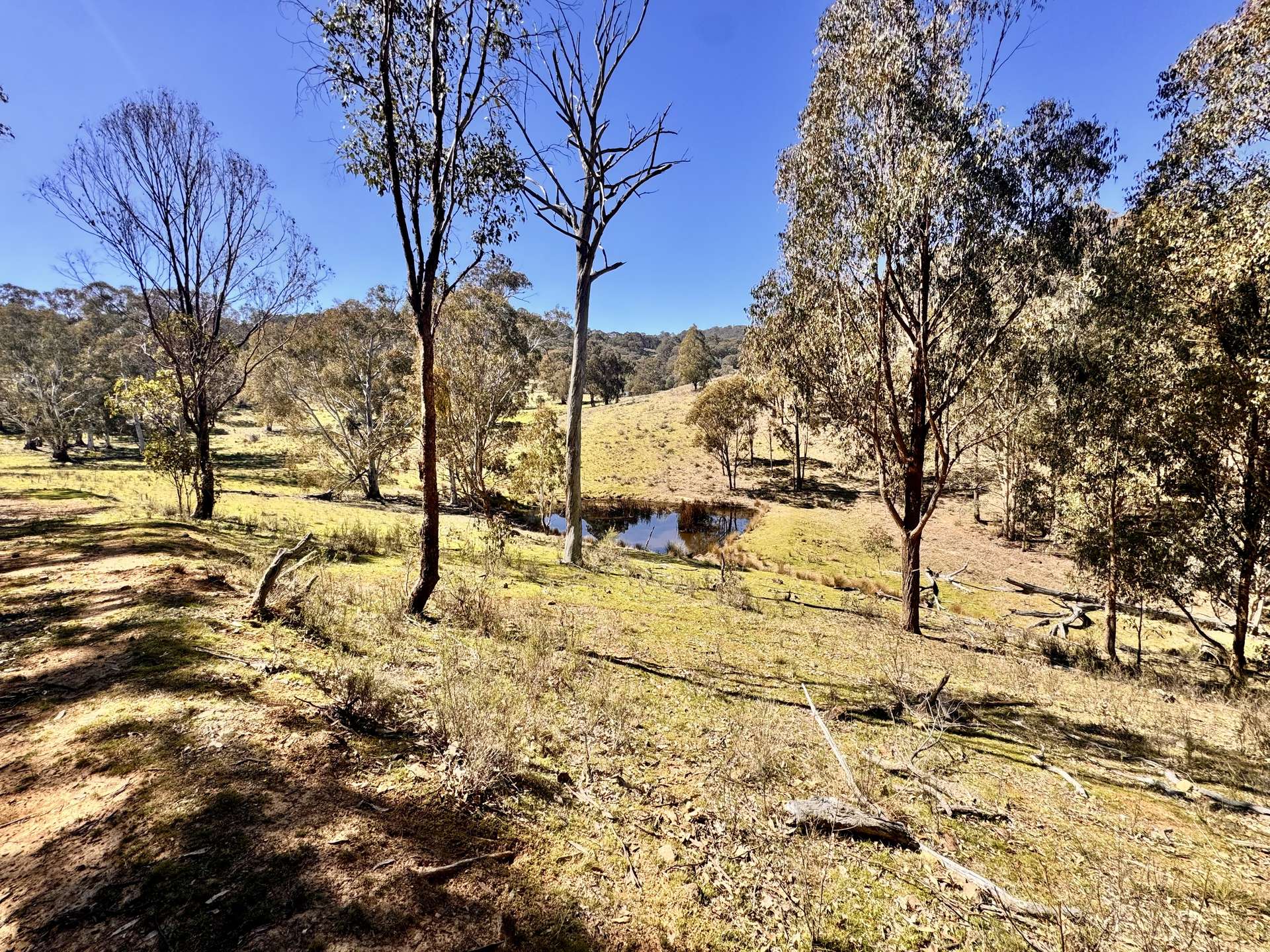 "Sunset Ridge" 840 Tomalla Road Omadale Via, Scone For Sale by Farmbuy.com - image 26
